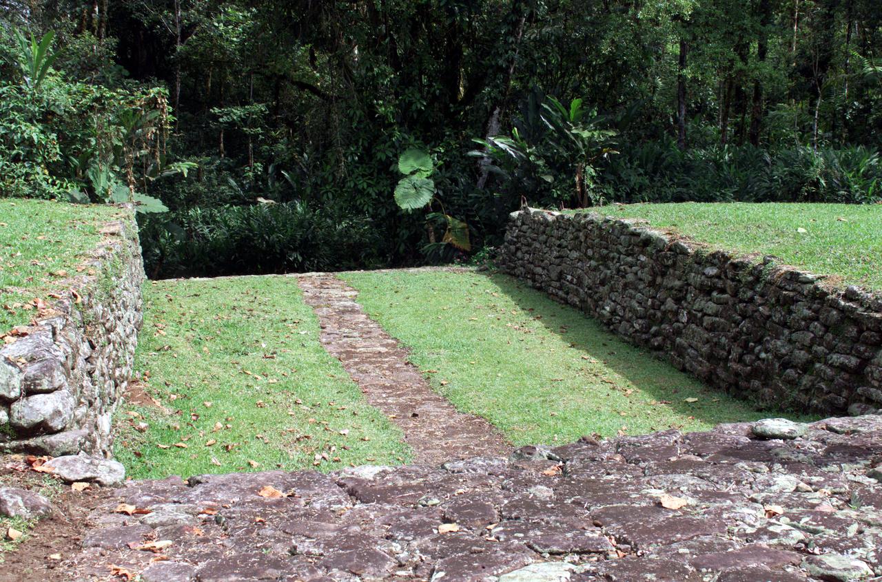 Pre-Columbian archaeological ruins are revealed through Costa Rican rain forest in this photo taken during NASA's AirSAR 2004 Mesoamerica campaign. AirSAR 2004 Mesoamerica is a three-week expedition by an international team of scientists that uses an all-weather imaging tool, called the Airborne Synthetic Aperture Radar (AirSAR) which is located onboard NASA's DC-8 airborne laboratory. The radar, developed by NASA's Jet Propulsion Laboratory, can penetrate clouds and also collect data at night. Its high-resolution sensors operate at multiple wavelengths and modes, allowing AirSAR to see beneath treetops, through thin sand, and dry snow pack. Much of the archaeological evidence needed to understand Pre-Columbian societies in Central America comes from features on the landscape. Difficult terrain and logistics have limited ground data collection.  AirSAR helped to detect signs of ancient civilizations hidden beneath the forest. Its images will shed insights into the way modern humans interact with their landscape, and how ancient peoples lived and what became of their civilizations.