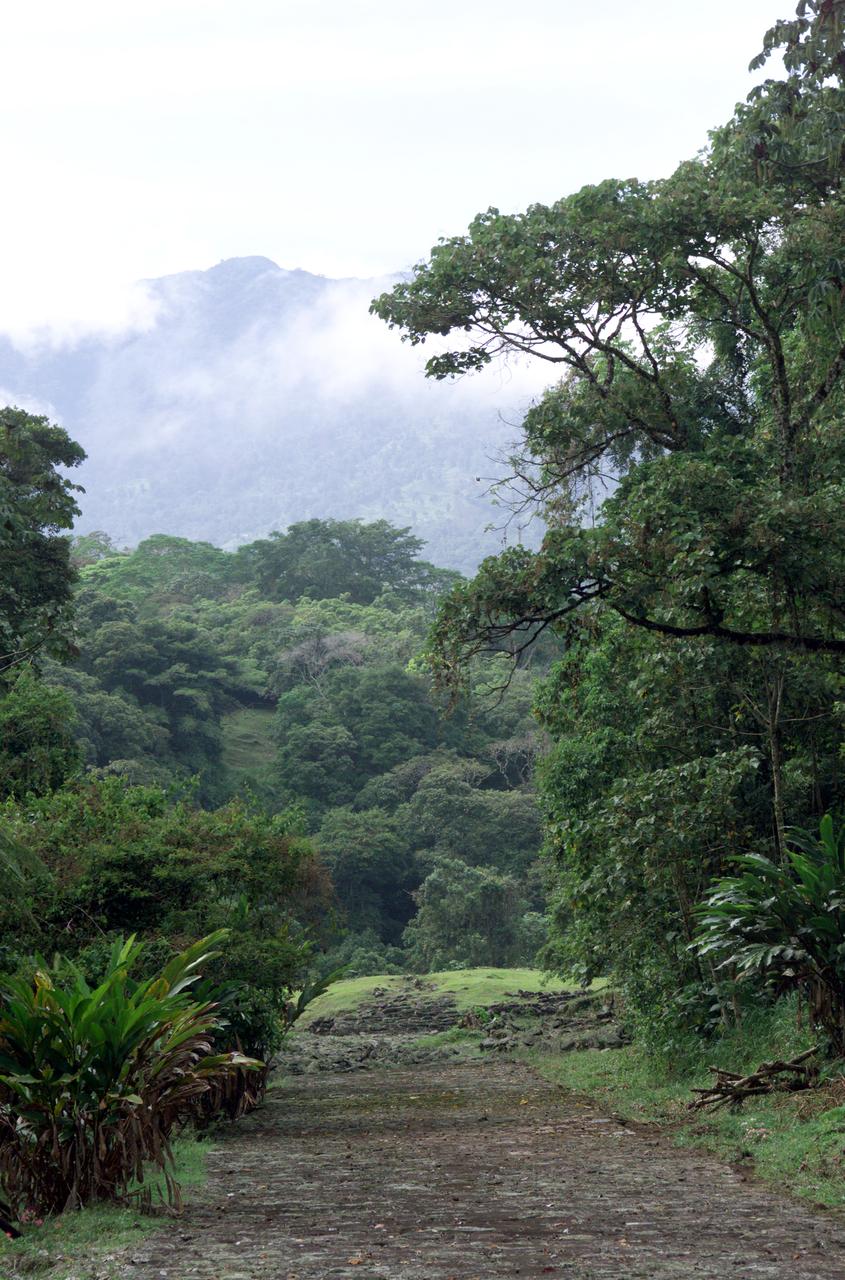 Pre-Columbian archaeological ruins are revealed through Costa Rican rain forest in this photo taken during NASA's AirSAR 2004 Mesoamerica campaign. AirSAR 2004 Mesoamerica is a three-week expedition by an international team of scientists that uses an all-weather imaging tool, called the Airborne Synthetic Aperture Radar (AirSAR) which is located onboard NASA's DC-8 airborne laboratory. The radar, developed by NASA's Jet Propulsion Laboratory, can penetrate clouds and also collect data at night. Its high-resolution sensors operate at multiple wavelengths and modes, allowing AirSAR to see beneath treetops, through thin sand, and dry snow pack. Much of the archaeological evidence needed to understand Pre-Columbian societies in Central America comes from features on the landscape. Difficult terrain and logistics have limited ground data collection.  AirSAR helped to detect signs of ancient civilizations hidden beneath the forest. Its images will shed insights into the way modern humans interact with their landscape, and how ancient peoples lived and what became of their civilizations.