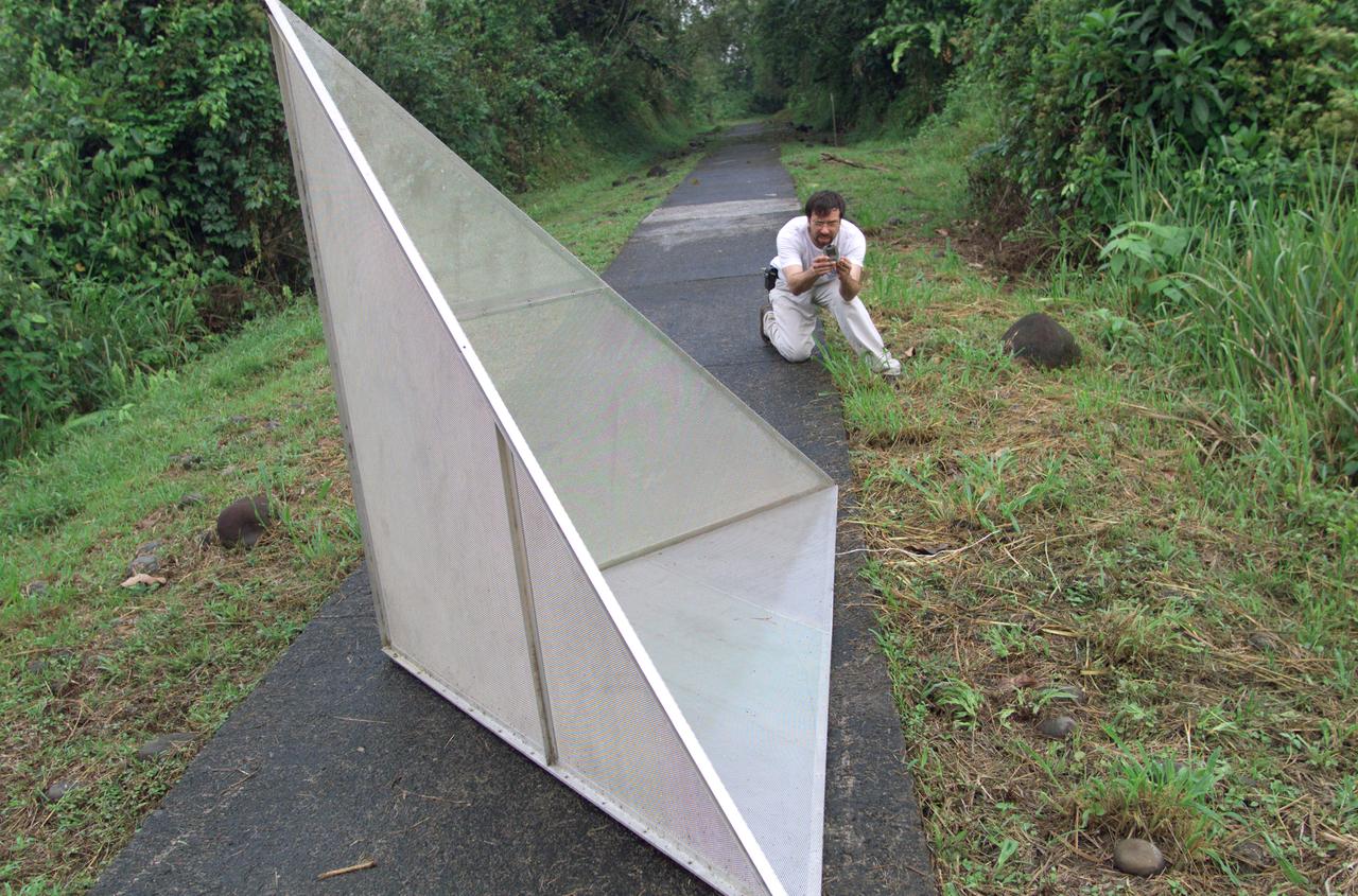 Reflectors setup in the La Selva region of the Costa Rican rain forest by scientist Paul Siqueira from NASA’s Jet Propulsion Lab. These reflectors are used by JPL scientists onboard Dryden's DC-8 aircraft to calibrate the Airborne Synthetic Aperture Radar (AirSAR) system. Scientists place these reflectors at known points on the ground, allowing researchers onboard the aircraft to verify their data. AirSAR 2004 Mesoamerica is a three-week expedition by an international team of scientists that uses an all-weather imaging tool, called the Airborne Synthetic Aperture Radar (AirSAR) which is located onboard NASA's DC-8 airborne laboratory.  Scientists from many parts of the world including NASA's Jet Propulsion Laboratory are combining ground research done in several areas in Central America with NASA's AirSAR technology to improve and expand on the quality of research they are able to conduct.  The radar, developed by NASA's Jet Propulsion Laboratory, can penetrate clouds and also collect data at night. Its high-resolution sensors operate at multiple wavelengths and modes, allowing AirSAR to see beneath treetops, through thin sand, and dry snow pack.  AirSAR's 2004 campaign is a collaboration of many U.S. and Central American institutions and scientists, including NASA; the National Science Foundation; the Smithsonian Institution; National Geographic; Conservation International; the Organization of Tropical Studies; the Central American Commission for Environment and Development; and the Inter-American Development Bank.