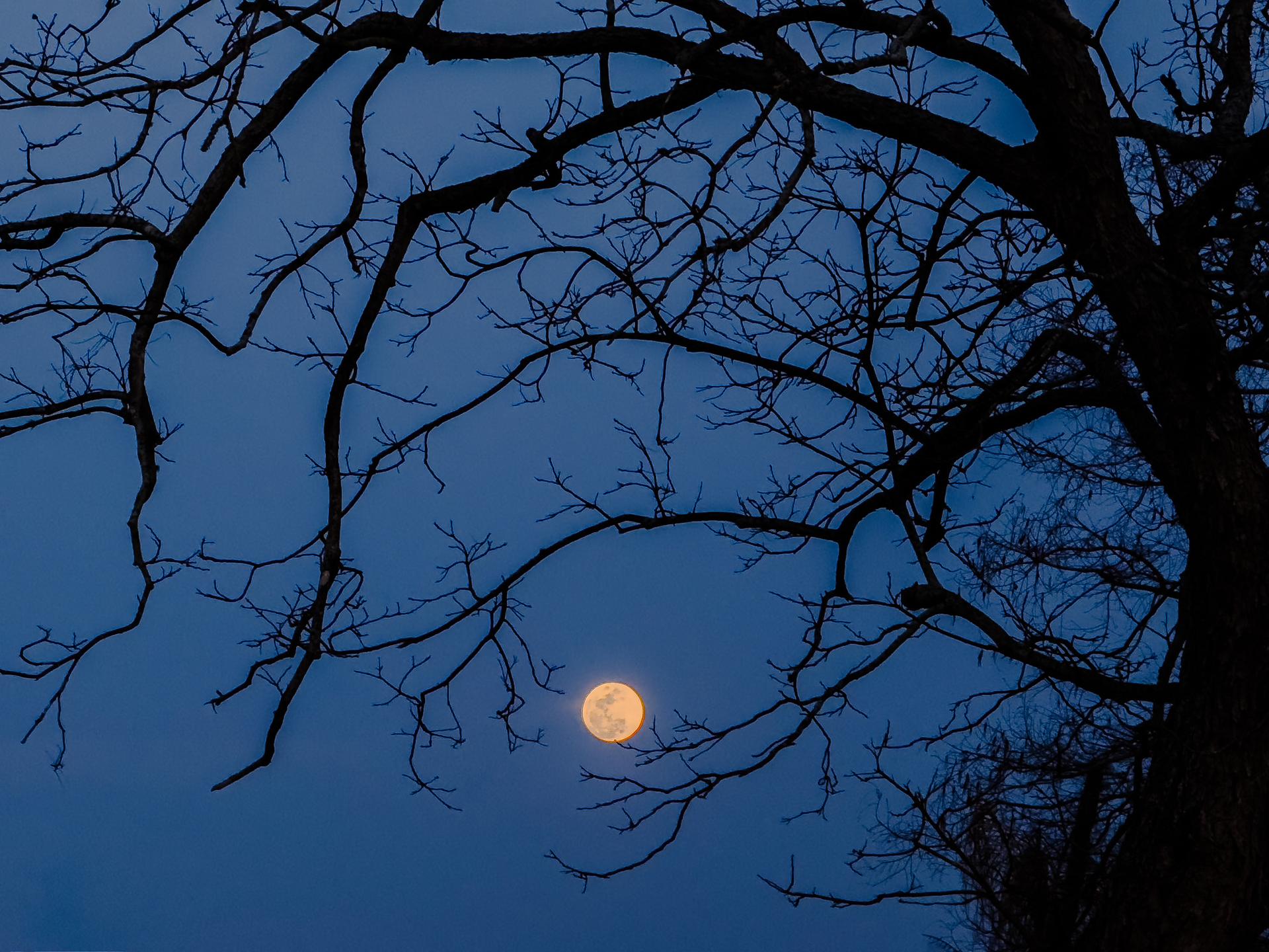 The Worm Moon rises over the city of New Orleans home of NASA's Michoud Assembly Facility on the evening of March 13th, 2025.
