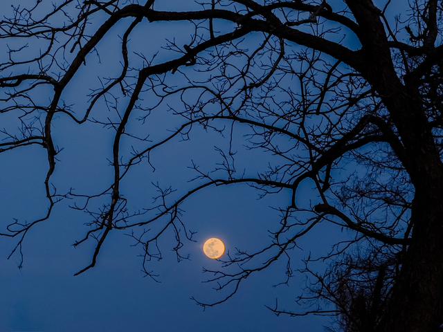 Worm Moon March 2025