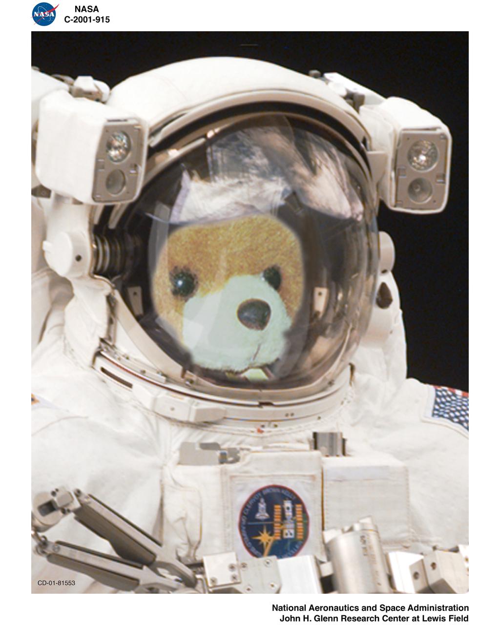 IMAGE CREATIONS OF BUCKEYE BEAR THE AVON EAST ELEMENTARY SCHOOL MASCOT FOR THE STS104 SHUTTLE MISSION