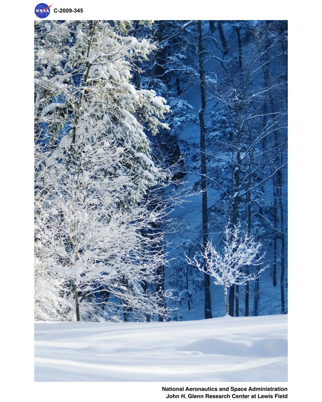 Snow scene in Abram Creek Ravine along West Area Road