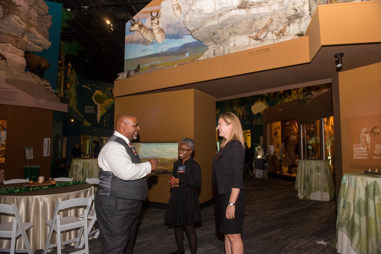 Evening With The Stars - 2019