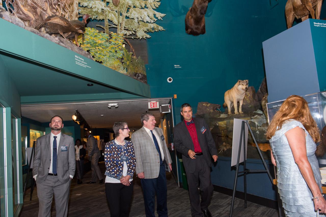 Evening With The Stars - 2019