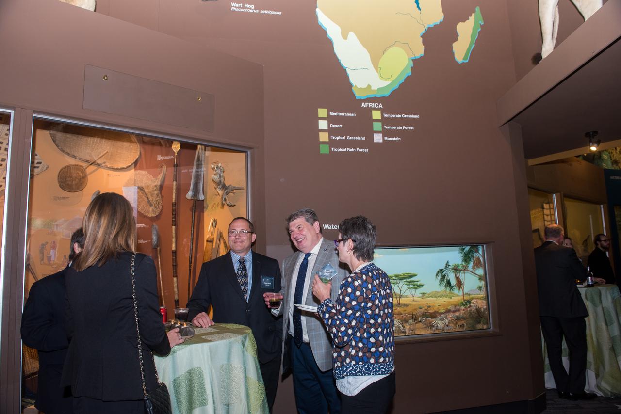 Evening With The Stars - 2019