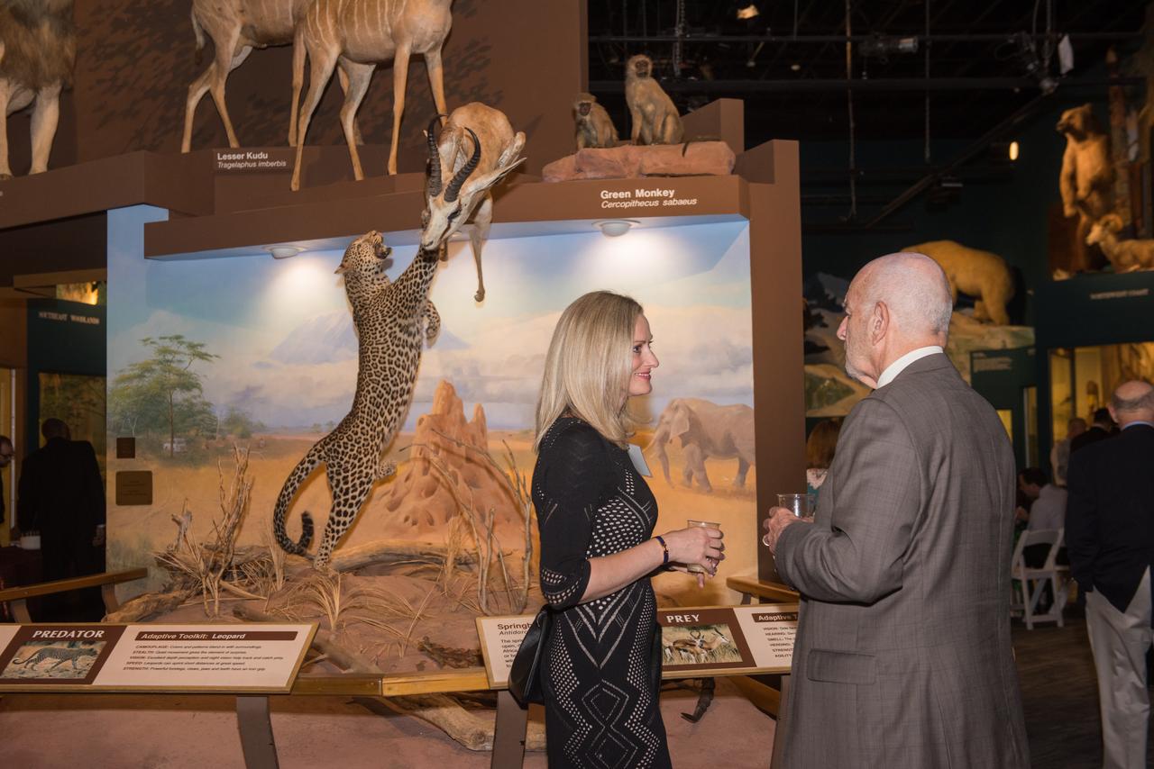 Evening With The Stars - 2019