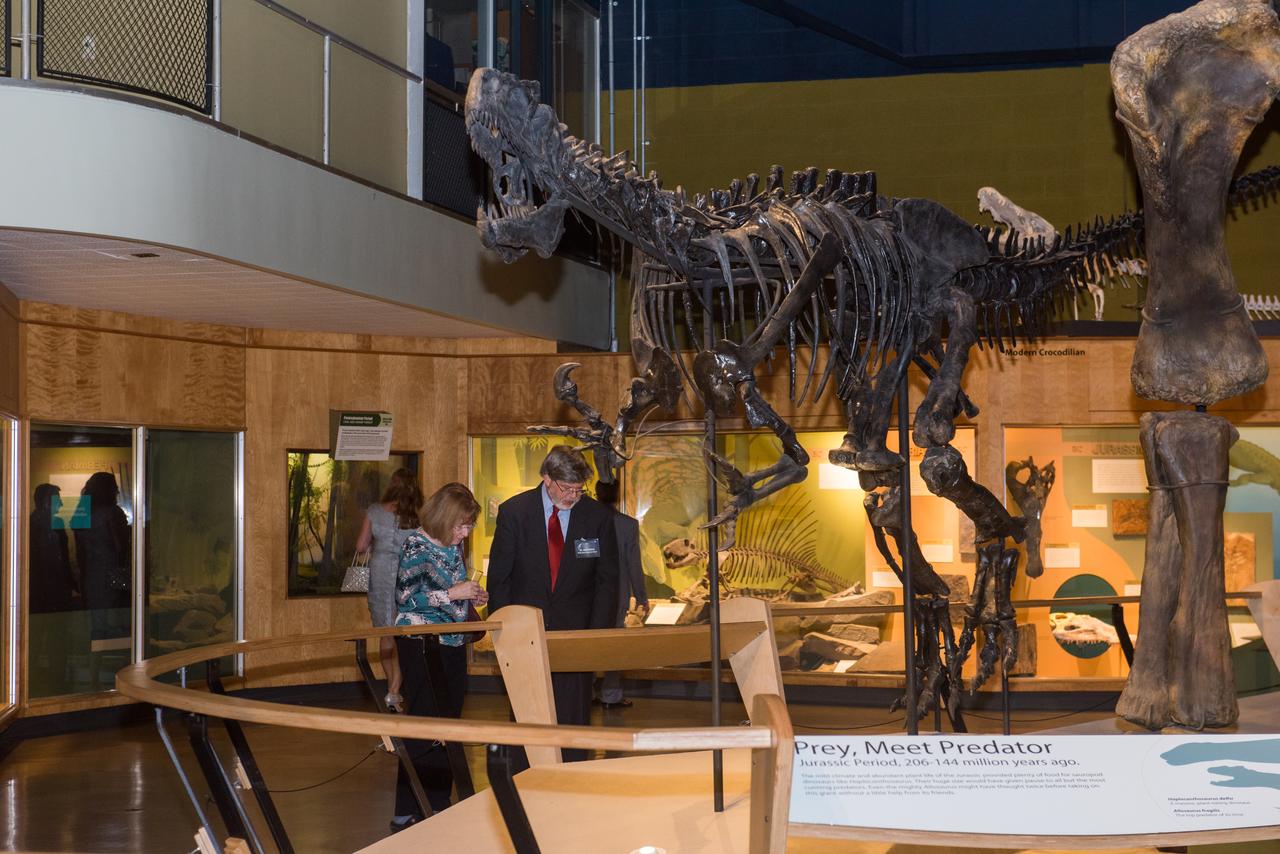 Evening With The Stars - 2019