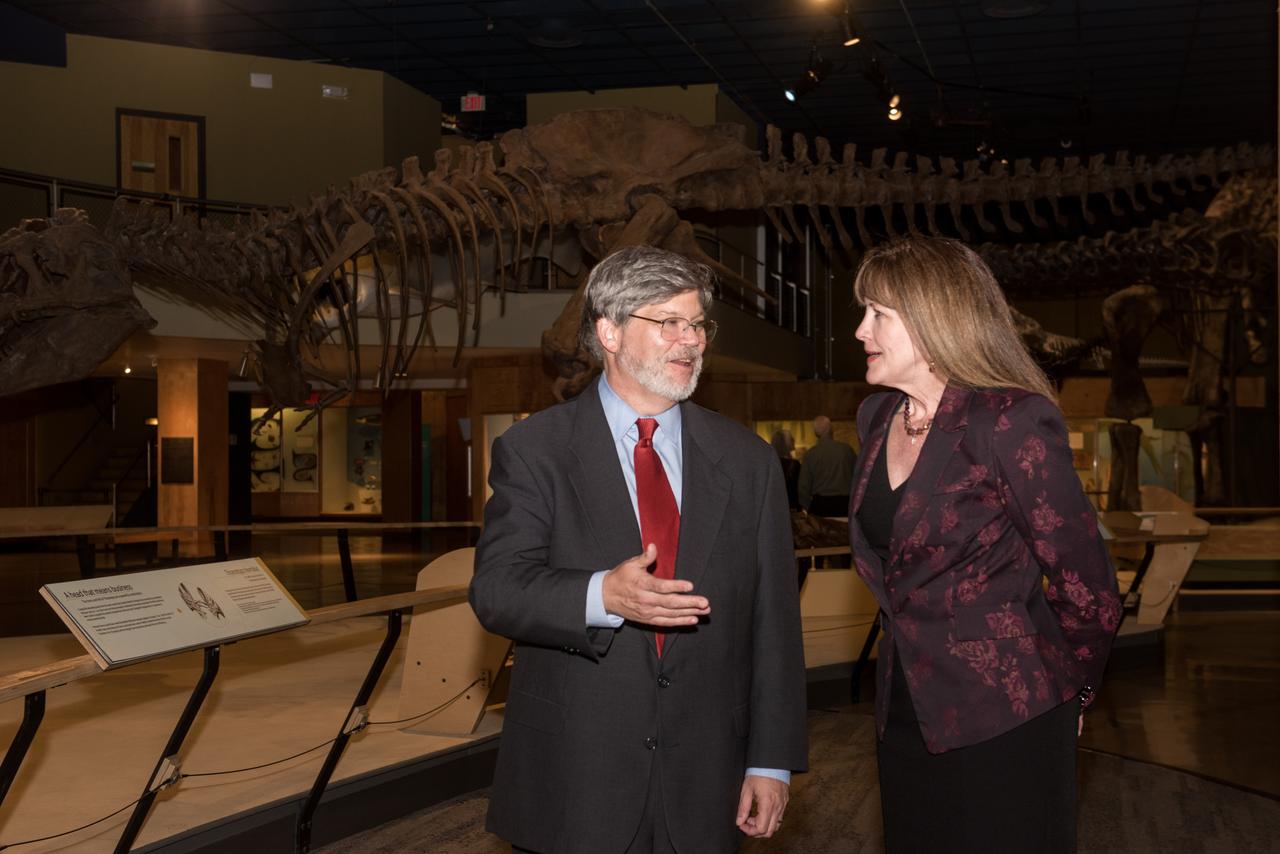 Evening With The Stars - 2019