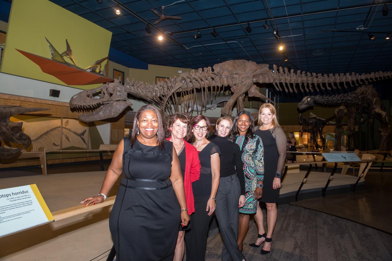 Evening With The Stars - 2019