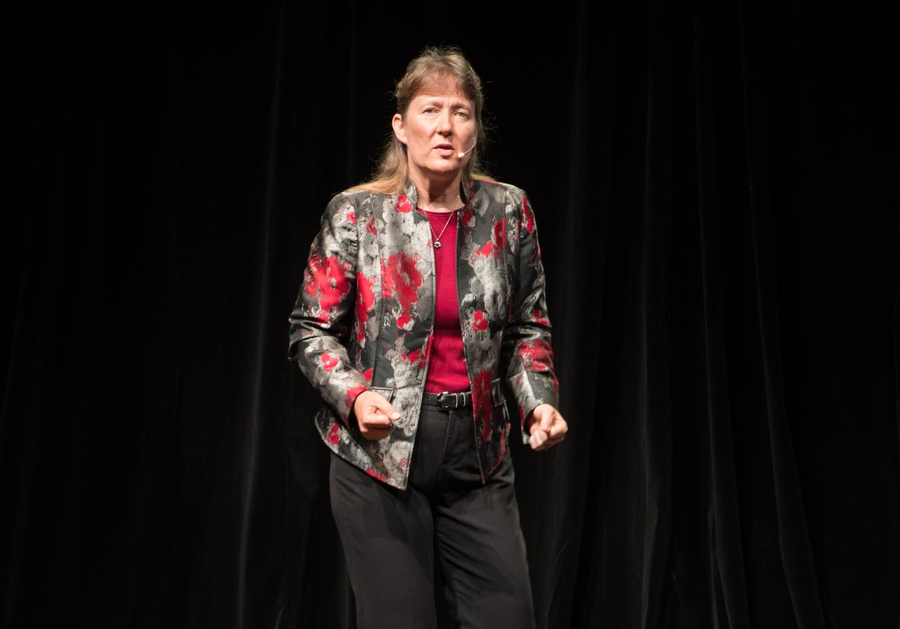 Evening With The Stars - 2019