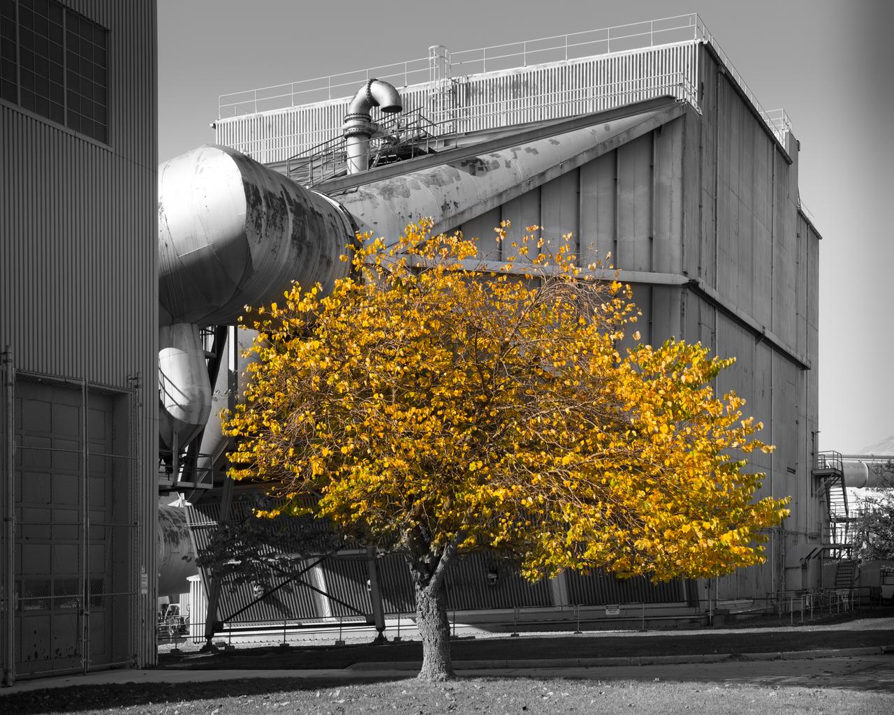 Fall Colored Tree on the Lawn of the 10x10 SWT Air Dryer Building
