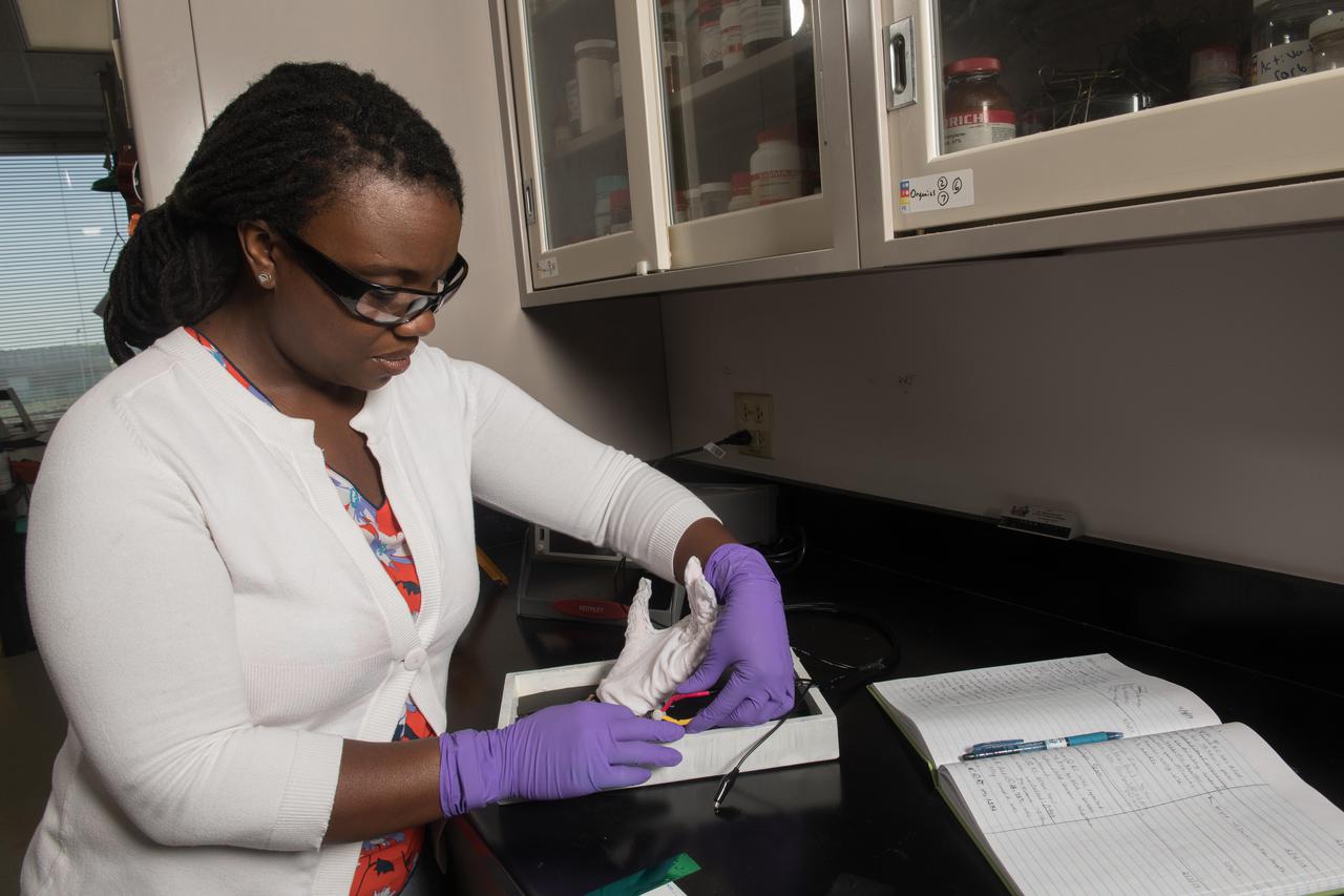 Development of Lightweight, Electrically Conductive, Multi-functional Textiles and Composites