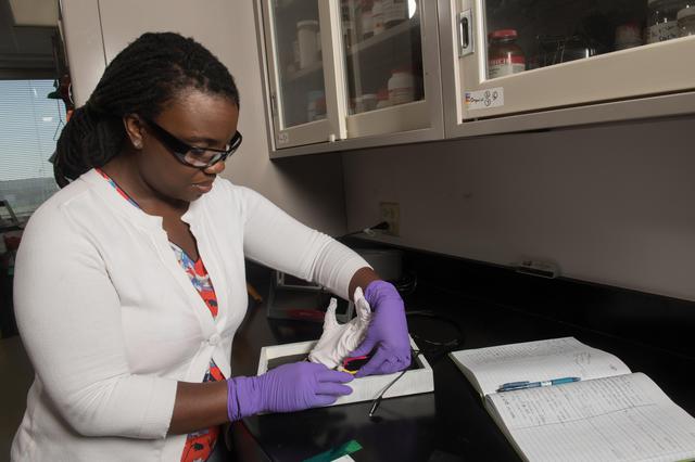 NASA image: Development of Lightweight, Electrically Conductive, Multi-fu...