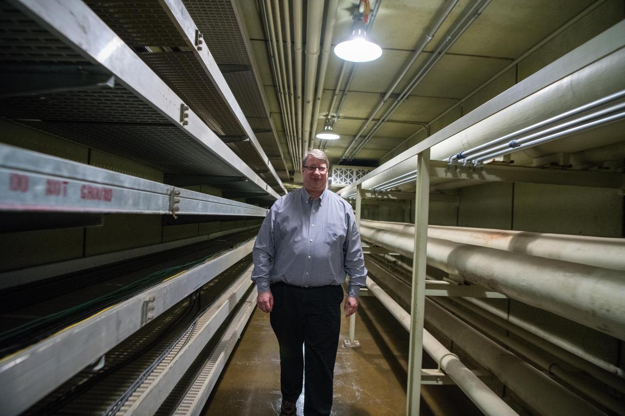 Day In The Life of Artemis Employees