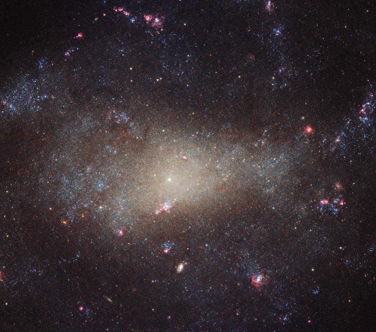 Tucked away in the small northern constellation of Canes Venatici (The Hunting Dogs) is the galaxy NGC 4242, shown here as seen by the NASA/ESA Hubble Space Telescope. The galaxy lies some 30 million light-years from us. At this distance from Earth, actually not all that far on a cosmic scale, NGC 4242 is visible to anyone armed with even a basic telescope, as British astronomer William Herschel found when he discovered the galaxy in 1788.  This image shows the galaxy’s bright center and the surrounding dimmer and more diffuse “fuzz.” Despite appearing to be relatively bright in this image, studies have found that NGC 4242 is actually relatively dim (it has a moderate-to-low surface brightness and low luminosity) and also supports a low rate of star formation. The galaxy also seems to have a weak bar of stars cutting through its asymmetric center, and a very faint and poorly-defined spiral structure throughout its disk. But if NGC 4242 is not all that remarkable, as with much of the Universe, it is still a beautiful and ethereal sight.  Credit: ESA/Hubble &amp; NASA