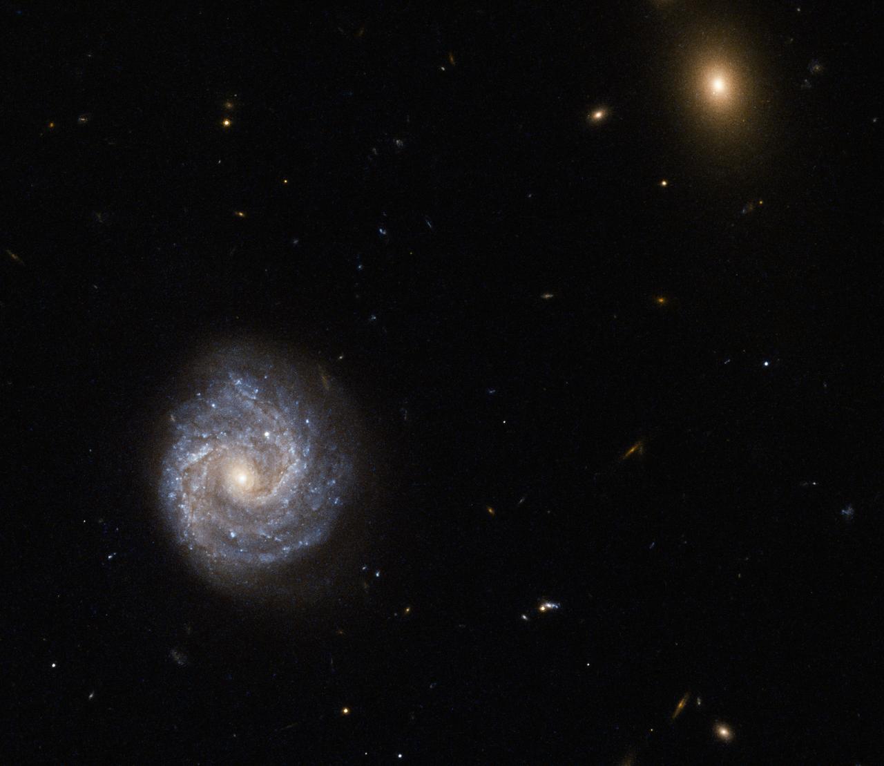 Not all galaxies have the luxury of possessing a simple moniker or quirky nickname.   This impressive galaxy imaged by the NASA/ESA Hubble Space Telescope is one of the unlucky ones, and goes by a name that looks more like a password for a computer:  2XMM J143450.5+033843.  Such a name may seem like a random jumble of numbers and letters, but like all galactic epithets it has a distinct meaning. This galaxy, for example, was detected and observed as part of the second X-ray sky survey performed by ESA’s XMM-Newton Observatory. Its celestial coordinates form the rest of the bulky name, following the “J”: a right ascension value of 14h (hours) 34m (minutes) 50.5s (seconds). This can be likened to terrestrial longitude. It also has a declination of +03d (degrees) 38m (minutes) 43s (seconds). Declination can be likened to terrestrial latitude. The other fuzzy object in the frame was named in the same way — it is a bright galaxy named 2XMM J143448.3+033749.  2XMM J143450.5+033843 lies nearly 400 million light-years away from Earth. It is a Seyfert galaxy that is dominated by something known as an Active Galactic Nucleus — its core is thought to contain a supermassive black hole that is emitting huge amounts of radiation, pouring energetic X-rays out into the Universe.  Photo credit: ESA/Hubble &amp; NASA  <b><a href="http://www.nasa.gov/audience/formedia/features/MP_Photo_Guidelines.html" rel="nofollow">NASA image use policy.</a></b>  <b><a href="http://www.nasa.gov/centers/goddard/home/index.html" rel="nofollow">NASA Goddard Space Flight Center</a></b> enables NASA’s mission through four scientific endeavors: Earth Science, Heliophysics, Solar System Exploration, and Astrophysics. Goddard plays a leading role in NASA’s accomplishments by contributing compelling scientific knowledge to advance the Agency’s mission.  <b>Follow us on <a href="http://twitter.com/NASAGoddardPix" rel="nofollow">Twitter</a></b>  <b>Like us on <a href="http://www.facebook.com/pages/Greenbelt-MD/NASA-Goddard/395013845897?ref=tsd" rel="nofollow">Facebook</a></b>  <b>Find us on <a href="http://instagrid.me/nasagoddard/?vm=grid" rel="nofollow">Instagram</a></b> 