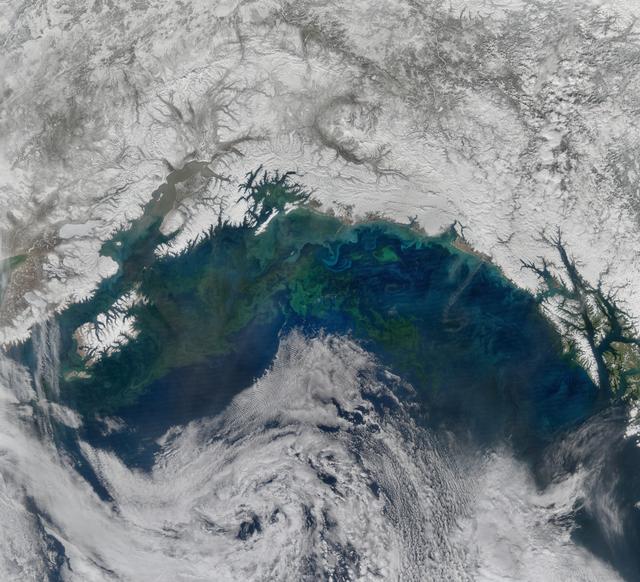 NASA image: Gulf of Alaska