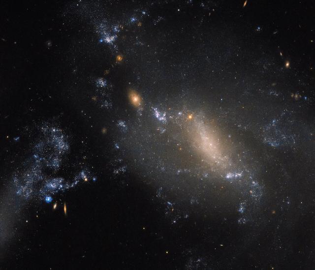 Two galaxies in a cosmic dance defy conventions. 60 million light-years away in the constellation of Leo, the more diffuse and patchy blue glow covering the right side of the frame is known as NGC 3447B, while the smaller clump to the upper left is NGC 3447A. Known together as NGC 3447, we’re unsure what each looked like before they began to tear one another apart. So close that they are strongly influenced and distorted by the gravitational forces between them, the galaxies to twist themselves into the unusual and unique shapes seen here. NGC 3447A appears to display the remnants of a central bar structure and some disrupted spiral arms, both properties characteristic of certain spiral galaxies. Some identify NGC 3447B as a former spiral galaxy, while others categorize it as being an irregular galaxy. Credit: NASA/Hubble <b><a href="http://www.nasa.gov/audience/formedia/features/MP_Photo_Guidelines.html" rel="nofollow">NASA image use policy.</a></b> <b><a href="http://www.nasa.gov/centers/goddard/home/index.html" rel="nofollow">NASA Goddard Space Flight Center</a></b> enables NASA’s mission through four scientific endeavors: Earth Science, Heliophysics, Solar System Exploration, and Astrophysics. Goddard plays a leading role in NASA’s accomplishments by contributing compelling scientific knowledge to advance the Agency’s mission. <b>Follow us on <a href="http://twitter.com/NASAGoddardPix" rel="nofollow">Twitter</a></b> <b>Like us on <a href="http://www.facebook.com/pages/Greenbelt-MD/NASA-Goddard/395013845897?ref=tsd" rel="nofollow">Facebook</a></b> <b>Find us on <a href="http://instagrid.me/nasagoddard/?vm=grid" rel="nofollow">Instagram</a></b>