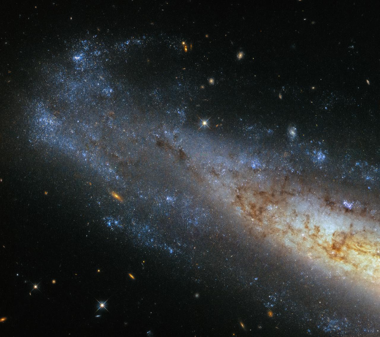 This image from Hubble’s Wide Field Camera 3 (WFC3) shows a section of NGC 1448, a spiral galaxy located about 50 million light-years from Earth in the little-known constellation of Horologium (The Pendulum Clock). We tend to think of spiral galaxies as massive and roughly circular celestial bodies, so this glittering oval does not immediately appear to fit the visual bill. What’s going on? Imagine a spiral galaxy as a circular frisbee spinning gently in space. When we see it face on, our observations reveal a spectacular amount of detail and structure — a great example from Hubble is the telescope’s view of Messier 51, otherwise known as the Whirlpool Galaxy. However, the NGC 1448 frisbee is very nearly edge-on with respect to Earth, giving it an appearance that is more oval than circular. The spiral arms, which curve out from NGC 1448’s dense core, can just about be seen. Although spiral galaxies might appear static with their picturesque shapes frozen in space, this is very far from the truth. The stars in these dramatic spiral configurations are constantly moving as they orbit around the galaxy’s core, with those on the inside making the orbit faster than those sitting further out. This makes the formation and continued existence of a spiral galaxy’s arms something of a cosmic puzzle, because the arms wrapped around the spinning core should become wound tighter and tighter as time goes on — but this is not what we see. This is known as the winding problem. Credit: ESA/Hubble & NASA #nasagoddard #space #science #Hubble #star <b><a href="http://www.nasa.gov/audience/formedia/features/MP_Photo_Guidelines.html" rel="nofollow">NASA image use policy.</a></b> <b><a href="http://www.nasa.gov/centers/goddard/home/index.html" rel="nofollow">NASA Goddard Space Flight Center</a></b> enables NASA’s mission through four scientific endeavors: Earth Science, Heliophysics, Solar System Exploration, and Astrophysics. Goddard plays a leading role in NASA’s accomplishments by contributing compelling scientific knowledge to advance the Agency’s mission. <b>Follow us on <a href="http://twitter.com/NASAGoddardPix" rel="nofollow">Twitter</a></b> <b>Like us on <a href="http://www.facebook.com/pages/Greenbelt-MD/NASA-Goddard/395013845897?ref=tsd" rel="nofollow">Facebook</a></b> <b>Find us on <a href="http://instagrid.me/nasagoddard/?vm=grid" rel="nofollow">Instagram</a></b>
