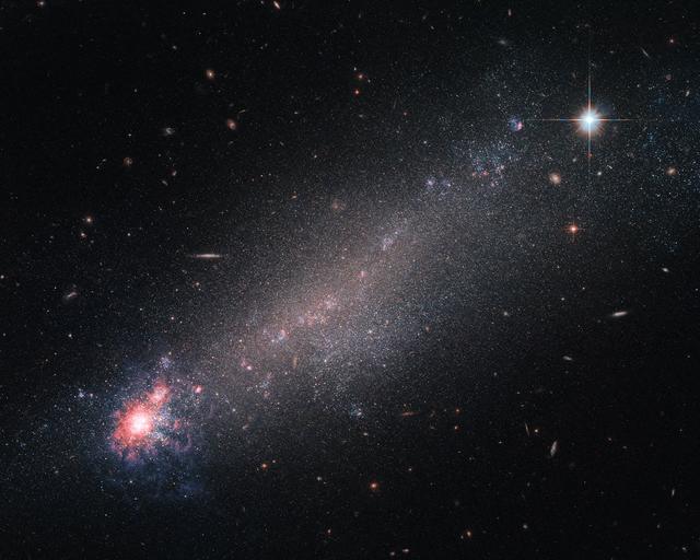 The lesser-known constellation of Canes Venatici (The Hunting Dogs), is home to a variety of deep-sky objects — including this beautiful galaxy, known as NGC 4861. Astronomers are still debating on how to classify it. While its physical properties — such as mass, size and rotational velocity — indicate it to be a spiral galaxy, its appearance looks more like a comet with its dense, luminous “head” and dimmer “tail” trailing off. Features more fitting with a dwarf irregular galaxy.  Although small and messy, galaxies like NGC 4861 provide astronomers with interesting opportunities for study. Small galaxies have lower gravitational potentials, which simply means that it takes less energy to move stuff about inside them than it does in other galaxies. As a result, moving in, around, and through such a tiny galaxy is quite easy to do, making them far more likely to be filled with streams and outflows of speedy charged particles known as galactic winds, which can flood such galaxies with little effort.  These galactic winds can be powered by the ongoing process of star formation, which involves huge amounts of energy. New stars are springing into life within the bright, colorful ‘head’ of NGC 4861 and ejecting streams of high-speed particles as they do so, which flood outwards to join the wider galactic wind. While NGC 4861 would be a perfect candidate to study such winds, recent studies did not find any galactic winds in it.  Image credit: ESA/Hubble &amp; NASA