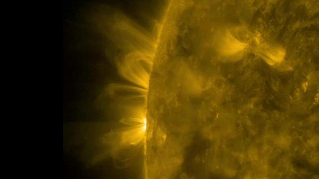 Magnetic arcs of solar material spewing from our favorite sphere of hot plasma, the sun.   Magnetic arcs of solar material held their shapes fairly well as they spiraled above two solar active regions over 18 hours on Jan. 11-12, 2017. The charged solar material, called plasma, traces out the magnetic field lines above the active regions when viewed in wavelengths of extreme ultraviolet light, captured here by NASA’s Solar Dynamics Observatory. Extreme ultraviolet light is typically invisible to our eyes, but is colorized here in gold for easy viewing.    Credit: NASA/SDO 