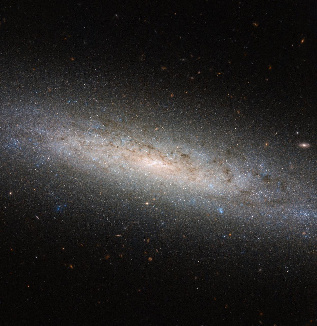 This shining disk of a spiral galaxy sits approximately 25 million light-years away from Earth in the constellation of Sculptor. Named NGC 24, the galaxy was discovered by British astronomer William Herschel in 1785, and measures some 40,000 light-years across. This picture was taken using the NASA/ESA Hubble Space Telescope’s Advanced Camera for Surveys, known as ACS for short. It shows NGC 24 in detail, highlighting the blue bursts (young stars), dark lanes (cosmic dust), and red bubbles (hydrogen gas) of material peppered throughout the galaxy’s spiral arms. Numerous distant galaxies can also been seen hovering around NGC 24’s perimeter. However, there may be more to this picture than first meets the eye. Astronomers suspect that spiral galaxies like NGC 24 and the Milky Way are surrounded by, and contained within, extended haloes of dark matter. Dark matter is a mysterious substance that cannot be seen; instead, it reveals itself via its gravitational interactions with surrounding material. Its existence was originally proposed to explain why the outer parts of galaxies, including our own, rotate unexpectedly fast, but it is thought to also play an essential role in a galaxy’s formation and evolution. Most of NGC 24’s mass — a whopping 80 percent — is thought to be held within such a dark halo. Image Credit: NASA/ESA <b><a href="http://www.nasa.gov/audience/formedia/features/MP_Photo_Guidelines.html" rel="nofollow">NASA image use policy.</a></b> <b><a href="http://www.nasa.gov/centers/goddard/home/index.html" rel="nofollow">NASA Goddard Space Flight Center</a></b> enables NASA’s mission through four scientific endeavors: Earth Science, Heliophysics, Solar System Exploration, and Astrophysics. Goddard plays a leading role in NASA’s accomplishments by contributing compelling scientific knowledge to advance the Agency’s mission. <b>Follow us on <a href="http://twitter.com/NASAGoddardPix" rel="nofollow">Twitter</a></b> <b>Like us on <a href="http://www.facebook.com/pages/Greenbelt-MD/NASA-Goddard/395013845897?ref=tsd" rel="nofollow">Facebook</a></b> <b>Find us on <a href="http://instagrid.me/nasagoddard/?vm=grid" rel="nofollow">Instagram</a></b>