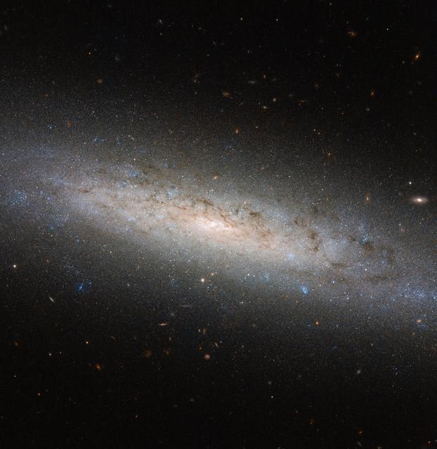 NASA image: Hubble Explores the Hidden Dark Side of a Spiral Galaxy