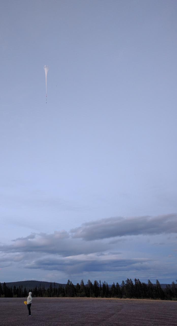 A BARREL team member watches as one of their payloads launches from Esrange Space Center on Aug. 29, 2016.  Throughout August 2016, the BARREL team was at Esrange Space Center near Kiruna, Sweden, launching a series of six scientific payloads on miniature scientific balloons. The NASA-funded BARREL – which stands for Balloon Array for Radiation-belt Relativistic Electron Losses – primarily measures X-rays in Earth’s atmosphere near the North and South Poles. These X-rays are produced by electrons raining down into the atmosphere from two giant swaths of radiation that surround Earth, called the Van Allen belts. Learning about the radiation near Earth helps us to better protect our satellites.   Several of the BARREL balloons also carried instruments built by undergraduate students to measure the total electron content of Earth’s ionosphere, as well as the low-frequency electromagnetic waves that help to scatter electrons into Earth’s atmosphere. Though about 90 feet in diameter, the BARREL balloons are much smaller than standard football stadium-sized scientific balloons.  This is the fourth campaign for the BARREL mission. BARREL is led by Dartmouth College in Hanover, New Hampshire. The undergraduate student instrument team is led by the University of Houston and funded by the Undergraduate Student Instrument Project out of NASA’s Wallops Flight Facility. For more information on NASA’s scientific balloon program, visit: <a href="http://www.nasa.gov/scientificballoons" rel="nofollow">www.nasa.gov/scientificballoons</a>.   Credit: NASA/Dartmouth/Alexa Halford  <b><a href="http://www.nasa.gov/audience/formedia/features/MP_Photo_Guidelines.html" rel="nofollow">NASA image use policy.</a></b>  <b><a href="http://www.nasa.gov/centers/goddard/home/index.html" rel="nofollow">NASA Goddard Space Flight Center</a></b> enables NASA’s mission through four scientific endeavors: Earth Science, Heliophysics, Solar System Exploration, and Astrophysics. Goddard plays a leading role in NASA’s accomplishments by contributing compelling scientific knowledge to advance the Agency’s mission.  <b>Follow us on <a href="http://twitter.com/NASAGoddardPix" rel="nofollow">Twitter</a></b>  <b>Like us on <a href="http://www.facebook.com/pages/Greenbelt-MD/NASA-Goddard/395013845897?ref=tsd" rel="nofollow">Facebook</a></b>  <b>Find us on <a href="http://instagrid.me/nasagoddard/?vm=grid" rel="nofollow">Instagram</a></b>    