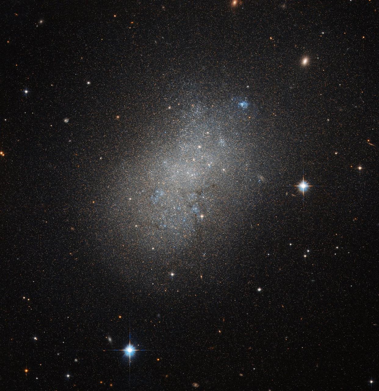 This image, courtesy of the NASA/ESA Hubble Space Telescope’s Advanced Camera for Surveys (ACS), captures the glow of distant stars within NGC 5264, a dwarf galaxy located just over 15 million light-years away in the constellation of Hydra (The Sea Serpent). Dwarf galaxies like NGC 5264 typically possess around a billion stars — just 1 percent of the number of stars found within the Milky Way. They are usually found orbiting other larger galaxies such as our own, and are thought to form from the material left over from the messy formation of their larger cosmic relatives. NGC 5264 clearly possesses an irregular shape — unlike the more common spiral or elliptical galaxies — with knots of blue star formation. Astronomers believe that this is due to the gravitational interactions between NGC 5264 and other galaxies nearby. These past flirtations sparked the formation of new generations of stars, which now glow in bright shades of blue. Credit: ESA/Hubble & NASA <b><a href="http://www.nasa.gov/audience/formedia/features/MP_Photo_Guidelines.html" rel="nofollow">NASA image use policy.</a></b> <b><a href="http://www.nasa.gov/centers/goddard/home/index.html" rel="nofollow">NASA Goddard Space Flight Center</a></b> enables NASA’s mission through four scientific endeavors: Earth Science, Heliophysics, Solar System Exploration, and Astrophysics. Goddard plays a leading role in NASA’s accomplishments by contributing compelling scientific knowledge to advance the Agency’s mission. <b>Follow us on <a href="http://twitter.com/NASAGoddardPix" rel="nofollow">Twitter</a></b> <b>Like us on <a href="http://www.facebook.com/pages/Greenbelt-MD/NASA-Goddard/395013845897?ref=tsd" rel="nofollow">Facebook</a></b> <b>Find us on <a href="http://instagrid.me/nasagoddard/?vm=grid" rel="nofollow">Instagram</a></b>