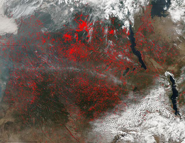 NASA image: Central Africa Appears to Be Completely On Fire
