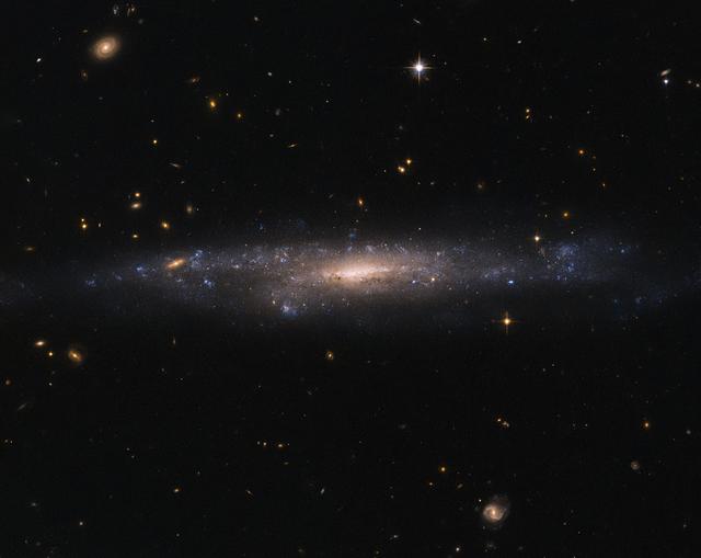 This striking NASA/ESA Hubble Space Telescope image captures the galaxy UGC 477, located just over 110 million light-years away in the constellation of Pisces (The Fish).  UGC 477 is a low surface brightness (LSB) galaxy. First proposed in 1976 by Mike Disney, the existence of LSB galaxies was confirmed only in 1986 with the discovery of Malin 1. LSB galaxies like UGC 477 are more diffusely distributed than galaxies such as Andromeda and the Milky Way. With surface brightnesses up to 250 times fainter than the night sky, these galaxies can be incredibly difficult to detect.  Most of the matter present in LSB galaxies is in the form of hydrogen gas, rather than stars. Unlike the bulges of normal spiral galaxies, the centers of LSB galaxies do not contain large numbers of stars. Astronomers suspect that this is because LSB galaxies are mainly found in regions devoid of other galaxies, and have therefore experienced fewer galactic interactions and mergers capable of triggering high rates of star formation.  LSB galaxies such as UGC 477 instead appear to be dominated by dark matter, making them excellent objects to study to further our understanding of this elusive substance. However, due to an underrepresentation in galactic surveys — caused by their characteristic low brightness — their importance has only been realized relatively recently.  Image credit: ESA/Hubble &amp; NASA, Acknowledgement: Judy Schmidt  <b><a href="http://www.nasa.gov/audience/formedia/features/MP_Photo_Guidelines.html" rel="nofollow">NASA image use policy.</a></b>  <b><a href="http://www.nasa.gov/centers/goddard/home/index.html" rel="nofollow">NASA Goddard Space Flight Center</a></b> enables NASA’s mission through four scientific endeavors: Earth Science, Heliophysics, Solar System Exploration, and Astrophysics. Goddard plays a leading role in NASA’s accomplishments by contributing compelling scientific knowledge to advance the Agency’s mission.  <b>Follow us on <a href="http://twitter.com/NASAGoddardPix" rel="nofollow">Twitter</a></b>  <b>Like us on <a href="http://www.facebook.com/pages/Greenbelt-MD/NASA-Goddard/395013845897?ref=tsd" rel="nofollow">Facebook</a></b>  <b>Find us on <a href="http://instagrid.me/nasagoddard/?vm=grid" rel="nofollow">Instagram</a></b>    