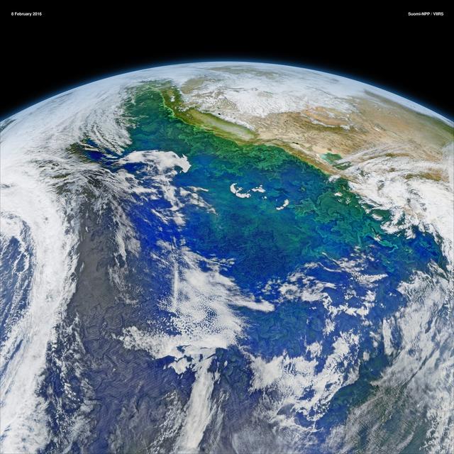 NASA image: The California Current System