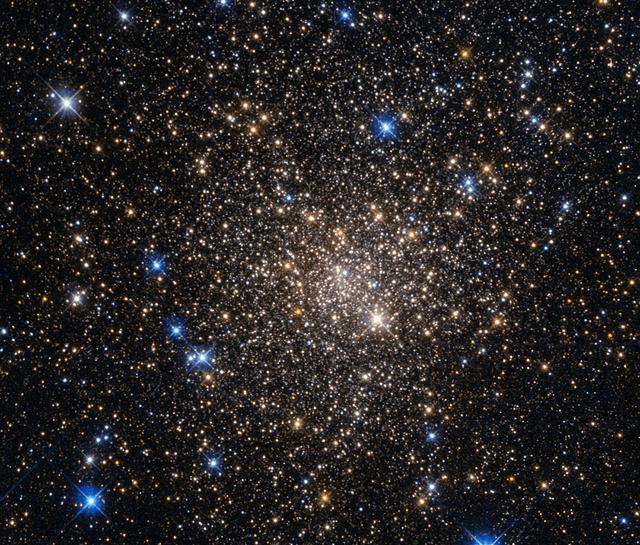 This image, taken with the Wide Field Planetary Camera 2 on board the NASA/ESA Hubble Space Telescope, shows the globular cluster Terzan 1. Lying around 20,000 light-years from us in the constellation of Scorpius (The Scorpion), it is one of about 150 globular clusters belonging to our galaxy, the Milky Way. Typical globular clusters are collections of around a hundred thousand stars, held together by their mutual gravitational attraction in a spherical shape a few hundred light-years across. It is thought that every galaxy has a population of globular clusters. Some, like the Milky Way, have a few hundred, while giant elliptical galaxies can have several thousand. They contain some of the oldest stars in a galaxy, hence the reddish colors of the stars in this image — the bright blue ones are foreground stars, not part of the cluster. The ages of the stars in the globular cluster tell us that they were formed during the early stages of galaxy formation! Studying them can also help us to understand how galaxies formed. Terzan 1, like many globular clusters, is a source of X-rays. It is likely that these X-rays come from binary star systems that contain a dense neutron star and a normal star. The neutron star drags material from the companion star, causing a burst of X-ray emission. The system then enters a quiescent phase in which the neutron star cools, giving off X-ray emission with different characteristics, before enough material from the companion builds up to trigger another outburst. Image credit: NASA & ESA, Acknowledgement: Judy Schmidt <b><a href="http://www.nasa.gov/audience/formedia/features/MP_Photo_Guidelines.html" rel="nofollow">NASA image use policy.</a></b> <b><a href="http://www.nasa.gov/centers/goddard/home/index.html" rel="nofollow">NASA Goddard Space Flight Center</a></b> enables NASA’s mission through four scientific endeavors: Earth Science, Heliophysics, Solar System Exploration, and Astrophysics. Goddard plays a leading role in NASA’s accomplishments by contributing compelling scientific knowledge to advance the Agency’s mission. <b>Follow us on <a href="http://twitter.com/NASAGoddardPix" rel="nofollow">Twitter</a></b> <b>Like us on <a href="http://www.facebook.com/pages/Greenbelt-MD/NASA-Goddard/395013845897?ref=tsd" rel="nofollow">Facebook</a></b> <b>Find us on <a href="http://instagrid.me/nasagoddard/?vm=grid" rel="nofollow">Instagram</a></b>
