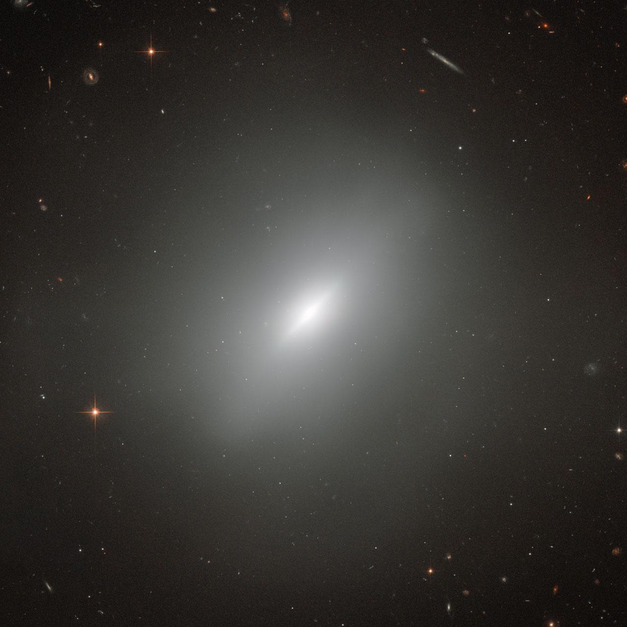 At the center of this amazing Hubble image is the elliptical galaxy NGC 3610. Surrounding the galaxy are a wealth of other galaxies of all shapes. There are spiral galaxies, galaxies with a bar in their central regions, distorted galaxies and elliptical galaxies, all visible in the background. In fact, almost every bright dot in this image is a galaxy — the few foreground stars are clearly distinguishable due to the diffraction spikes (lines radiating from bright light sources in reflecting telescope images) that overlay their images.  NGC 3610 is of course the most prominent object in this image — and a very interesting one at that! Discovered in 1793 by William Herschel, it was later found that this elliptical galaxy contains a disk. This is very unusual, as disks are one of the main distinguishing features of a spiral galaxy. And the disk in NGC 3610 is remarkably bright.  The reason for the peculiar shape of NGC 3610 stems from its formation history. When galaxies form, they usually resemble our galaxy, the Milky Way, with flat disks and spiral arms where star formation rates are high and which are therefore very bright. An elliptical galaxy is a much more disordered object which results from the merging of two or more disk galaxies. During these violent mergers most of the internal structure of the original galaxies is destroyed. The fact that NGC 3610 still shows some structure in the form of a bright disk implies that it formed only a short time ago. The galaxy’s age has been put at around four billion years and it is an important object for studying the early stages of evolution in elliptical galaxies.  Image credit: ESA/Hubble &amp; NASA, Acknowledgement: Judy Schmidt   <b><a href="http://www.nasa.gov/audience/formedia/features/MP_Photo_Guidelines.html" rel="nofollow">NASA image use policy.</a></b>  <b><a href="http://www.nasa.gov/centers/goddard/home/index.html" rel="nofollow">NASA Goddard Space Flight Center</a></b> enables NASA’s mission through four scientific endeavors: Earth Science, Heliophysics, Solar System Exploration, and Astrophysics. Goddard plays a leading role in NASA’s accomplishments by contributing compelling scientific knowledge to advance the Agency’s mission.  <b>Follow us on <a href="http://twitter.com/NASAGoddardPix" rel="nofollow">Twitter</a></b>  <b>Like us on <a href="http://www.facebook.com/pages/Greenbelt-MD/NASA-Goddard/395013845897?ref=tsd" rel="nofollow">Facebook</a></b>  <b>Find us on <a href="http://instagrid.me/nasagoddard/?vm=grid" rel="nofollow">Instagram</a></b>