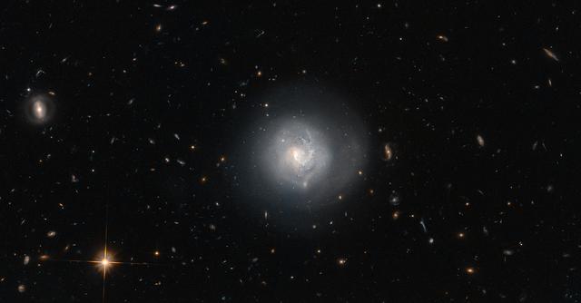 This galaxy is known as Mrk 820 and is classified as a lenticular galaxy — type S0 on the Hubble Tuning Fork. The Hubble Tuning Fork is used to classify galaxies according to their morphology. Elliptical galaxies look like smooth blobs in the sky and lie on the handle of the fork. They are arranged along the handle based on how elliptical they are, with the more spherical galaxies furthest from the tines of the fork, and the more egg-shaped ones closest to the end of the handle where it divides. The two prongs of the tuning fork represent types of unbarred and barred spiral galaxies. Lenticular galaxies like Mrk 820 are in the transition zone between ellipticals and spirals and lie right where the fork divides. A closer look at the appearance of Mrk 820 reveals hints of a spiral structure embedded in a circular halo of stars. Surrounding Mrk 820 in this image is a good sampling of other galaxy types, covering almost every type found on the Hubble Tuning Fork, both elliptical and spiral. Most of the smears and specks are distant galaxies, but the prominent bright object at the bottom is a foreground star called TYC 4386-787-1. Credit: ESA/Hubble & NASA and N. Gorin (STScI), Acknowledgement: Judy Schmidt <b><a href="http://www.nasa.gov/audience/formedia/features/MP_Photo_Guidelines.html" rel="nofollow">NASA image use policy.</a></b> <b><a href="http://www.nasa.gov/centers/goddard/home/index.html" rel="nofollow">NASA Goddard Space Flight Center</a></b> enables NASA’s mission through four scientific endeavors: Earth Science, Heliophysics, Solar System Exploration, and Astrophysics. Goddard plays a leading role in NASA’s accomplishments by contributing compelling scientific knowledge to advance the Agency’s mission. <b>Follow us on <a href="http://twitter.com/NASAGoddardPix" rel="nofollow">Twitter</a></b> <b>Like us on <a href="http://www.facebook.com/pages/Greenbelt-MD/NASA-Goddard/395013845897?ref=tsd" rel="nofollow">Facebook</a></b> <b>Find us on <a href="http://instagrid.me/nasagoddard/?vm=grid" rel="nofollow">Instagram</a></b>