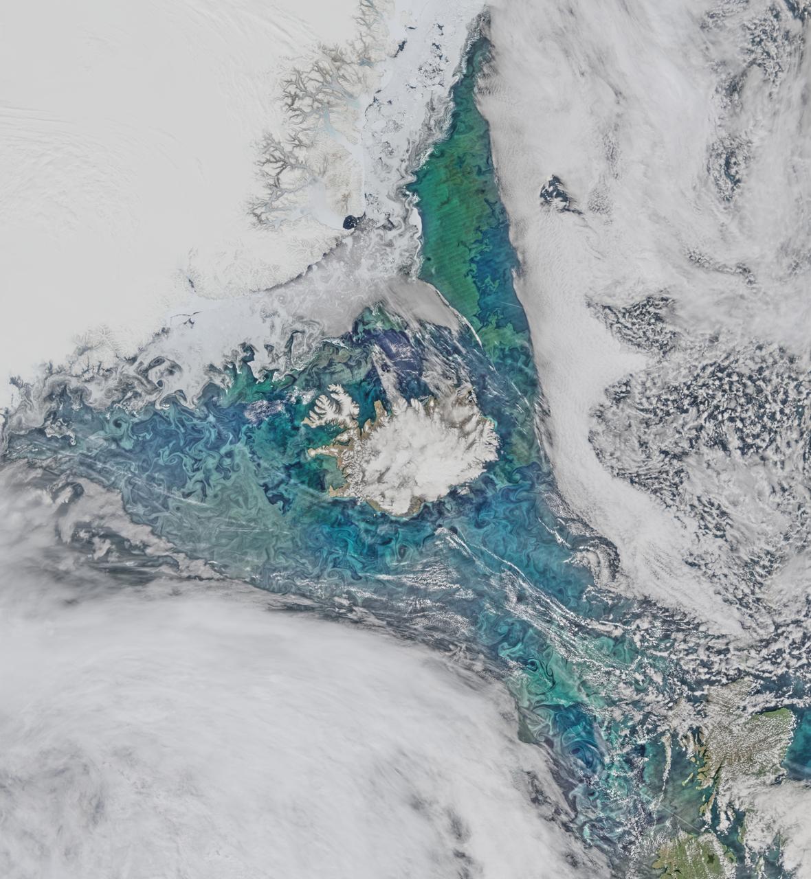 Phytoplankton communities and sea ice limn the turbulent flow field around Iceland in this Suomi-NPP/VIIRS scene collected on June 14, 2015.  Credit: NASA/Goddard/Suomi NPP/VIIRS  <b><a href="http://www.nasa.gov/audience/formedia/features/MP_Photo_Guidelines.html" rel="nofollow">NASA image use policy.</a></b>  <b><a href="http://www.nasa.gov/centers/goddard/home/index.html" rel="nofollow">NASA Goddard Space Flight Center</a></b> enables NASA’s mission through four scientific endeavors: Earth Science, Heliophysics, Solar System Exploration, and Astrophysics. Goddard plays a leading role in NASA’s accomplishments by contributing compelling scientific knowledge to advance the Agency’s mission.  <b>Follow us on <a href="http://twitter.com/NASAGoddardPix" rel="nofollow">Twitter</a></b>  <b>Like us on <a href="http://www.facebook.com/pages/Greenbelt-MD/NASA-Goddard/395013845897?ref=tsd" rel="nofollow">Facebook</a></b>  <b>Find us on <a href="http://instagrid.me/nasagoddard/?vm=grid" rel="nofollow">Instagram</a></b>