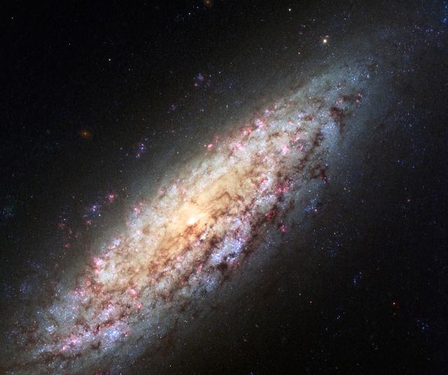 NASA image: Lonely Galaxy Lost in Space