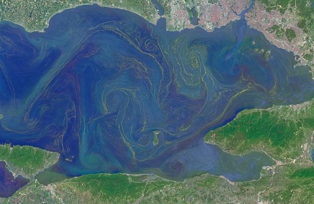 NASA image: Blooms in the Sea of Marmara
