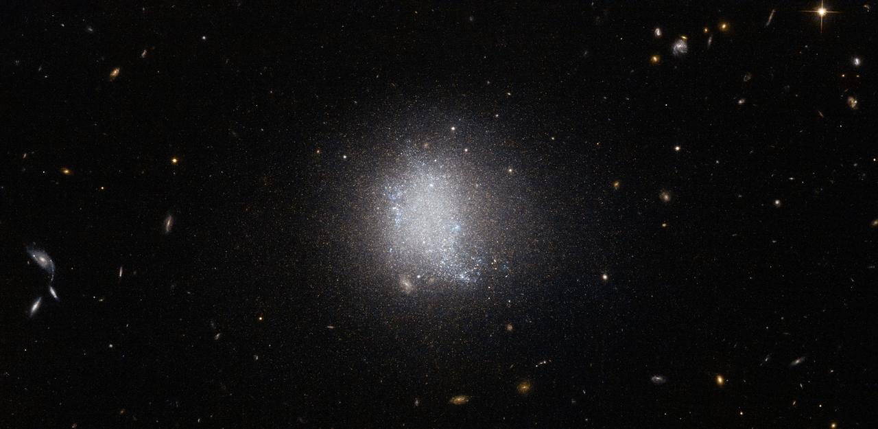 The smudge of stars at the center of this NASA/ESA Hubble Space Telescope image is a galaxy known as UGC 5797. UGC 5797 is an emission line galaxy, meaning that it is currently undergoing active star formation. The result is a stellar population that is constantly being refurbished as massive bright blue stars form. Galaxies with prolific star formation are not only veiled in a blue tint, but are key to the continuation of a stellar cycle. In this image UGC 5797 appears in front of a background of spiral galaxies. Spiral galaxies have copious amounts of dust and gas — the main ingredient for stars — and therefore often also belong to the class of emission line galaxies. Spiral galaxies have disk-like shapes that drastically vary in appearance depending on the angle at which they are observed. The collection of spiral galaxies in this frame exhibits this attribute acutely: Some are viewed face-on, revealing the structure of the spiral arms, while the two in the bottom left are seen edge-on, appearing as plain streaks in the sky. There are many spiral galaxies, with varying colors and at different angles, sprinkled across this image — just take a look. Credit: ESA/Hubble & NASA, Acknowledgement: Luca Limatola <b><a href="http://www.nasa.gov/audience/formedia/features/MP_Photo_Guidelines.html" rel="nofollow">NASA image use policy.</a></b> <b><a href="http://www.nasa.gov/centers/goddard/home/index.html" rel="nofollow">NASA Goddard Space Flight Center</a></b> enables NASA’s mission through four scientific endeavors: Earth Science, Heliophysics, Solar System Exploration, and Astrophysics. Goddard plays a leading role in NASA’s accomplishments by contributing compelling scientific knowledge to advance the Agency’s mission. <b>Follow us on <a href="http://twitter.com/NASAGoddardPix" rel="nofollow">Twitter</a></b> <b>Like us on <a href="http://www.facebook.com/pages/Greenbelt-MD/NASA-Goddard/395013845897?ref=tsd" rel="nofollow">Facebook</a></b> <b>Find us on <a href="http://instagrid.me/nasagoddard/?vm=grid" rel="nofollow">Instagram</a></b>
