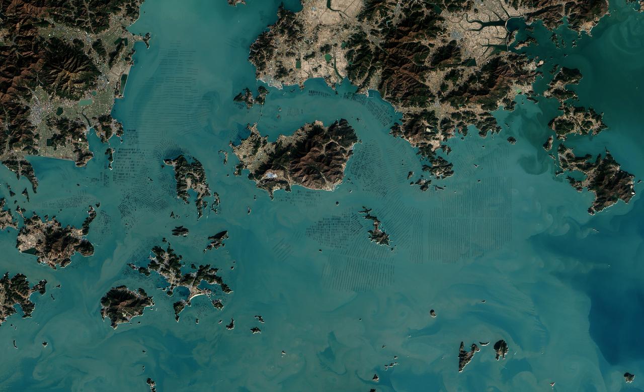 The dark squares that make up the checkerboard pattern in this image are fields of a sort—fields of seaweed. Along the south coast of South Korea, seaweed is often grown on ropes, which are held near the surface with buoys. This technique ensures that the seaweed stays close enough to the surface to get enough light during high tide but doesn’t scrape against the bottom during low tide.  The Operational Land Imager (OLI) on Landsat 8 acquired this image of seaweed cultivation in the shallow waters around Sisan Island on January 31, 2014. Home to a thriving aquaculture industry, the south coast of South Korea produces about 90 percent of the country’s seaweed crop. The waters around Sisan are not the only place where aquaculture is common. View the large image to see how ubiquitous seaweed aquaculture is along the coast in Jeollanam-do, the southernmost province on the Korean peninsula. Two main types of seaweed are cultivated in South Korea: Undaria (known as miyeok in Korean, wakame in Japanese) and Pyropia (gim in Korean, nori in Japanese). Both types are used generously in traditional Korean, Japanese, and Chinese food.  Since 1970, farmed seaweed production has increased by approximately 8 percent per year. Today, about 90 percent of all the seaweed that humans consume globally is farmed. That may be good for the environment. In comparison to other types of food production, seaweed farming has a light environmental footprint because it does not require fresh water or fertilizer.  NASA Earth Observatory image by Jesse Allen, using Landsat data from the U.S. Geological Survey. Caption by Adam Voiland.   Credit: <b><a href="http://www.earthobservatory.nasa.gov/" rel="nofollow"> NASA Earth Observatory</a></b>  <b><a href="http://www.nasa.gov/audience/formedia/features/MP_Photo_Guidelines.html" rel="nofollow">NASA image use policy.</a></b>  <b><a href="http://www.nasa.gov/centers/goddard/home/index.html" rel="nofollow">NASA Goddard Space Flight Center</a></b> enables NASA’s mission through four scientific endeavors: Earth Science, Heliophysics, Solar System Exploration, and Astrophysics. Goddard plays a leading role in NASA’s accomplishments by contributing compelling scientific knowledge to advance the Agency’s mission.  <b>Follow us on <a href="http://twitter.com/NASAGoddardPix" rel="nofollow">Twitter</a></b>  <b>Like us on <a href="http://www.facebook.com/pages/Greenbelt-MD/NASA-Goddard/395013845897?ref=tsd" rel="nofollow">Facebook</a></b>  <b>Find us on <a href="http://instagrid.me/nasagoddard/?vm=grid" rel="nofollow">Instagram</a></b>