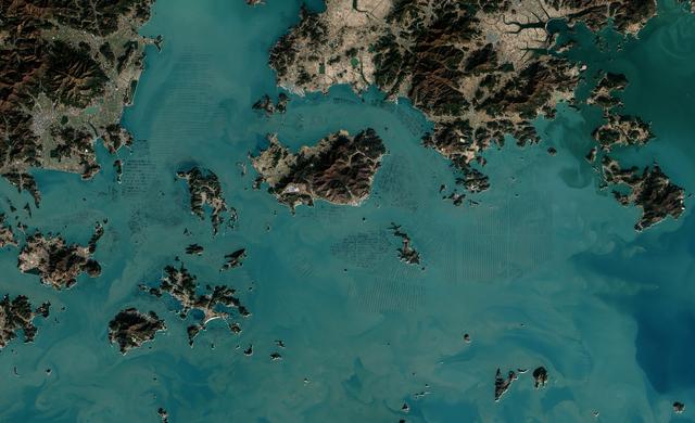 NASA image: Seaweed Farms in South Korea [detail]