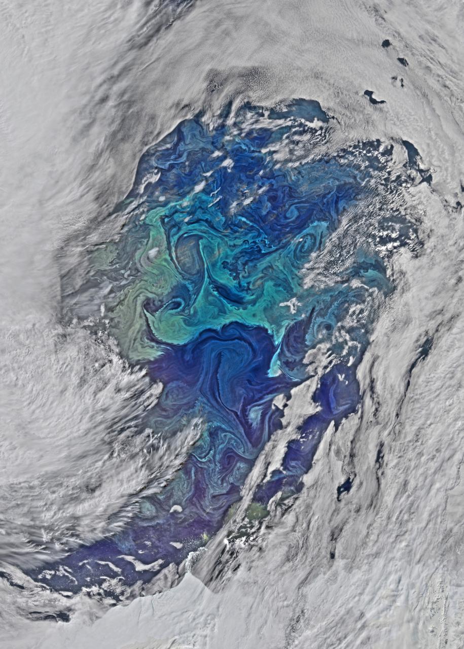 The cloud cover over the Southern Ocean occasionally parts as it did on January 1, 2015 just west of the Drake Passage where the VIIRS instrument on the Suomi NPP satellite glimpsed the above collection of ocean-color delineated eddies which have diameters ranging from a couple of kilometers to a couple of hundred kilometers. Recent studies indicate that eddy activity has been increasing in the Southern Ocean with possible implications for climate change. Credit: NASA's OceanColor/Suomi NPP/VIIRS <b><a href="http://www.nasa.gov/audience/formedia/features/MP_Photo_Guidelines.html" rel="nofollow">NASA image use policy.</a></b> <b><a href="http://www.nasa.gov/centers/goddard/home/index.html" rel="nofollow">NASA Goddard Space Flight Center</a></b> enables NASA’s mission through four scientific endeavors: Earth Science, Heliophysics, Solar System Exploration, and Astrophysics. Goddard plays a leading role in NASA’s accomplishments by contributing compelling scientific knowledge to advance the Agency’s mission. <b>Follow us on <a href="http://twitter.com/NASAGoddardPix" rel="nofollow">Twitter</a></b> <b>Like us on <a href="http://www.facebook.com/pages/Greenbelt-MD/NASA-Goddard/395013845897?ref=tsd" rel="nofollow">Facebook</a></b> <b>Find us on <a href="http://instagrid.me/nasagoddard/?vm=grid" rel="nofollow">Instagram</a></b>