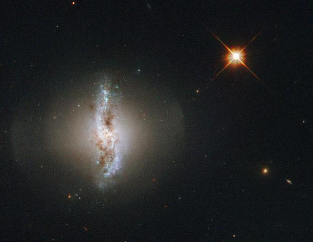This Picture of the Week shows Arp 230, also known as IC 51, observed by the NASA/ESA Hubble Space Telescope. Arp 230 is a galaxy of an uncommon or peculiar shape, and is therefore part of the Atlas of Peculiar Galaxies produced by Halton Arp. Its irregular shape is thought to be the result of a violent collision with another galaxy sometime in the past. The collision could also be held responsible for the formation of the galaxy’s polar ring. The outer ring surrounding the galaxy consists of gas and stars and rotates over the poles of the galaxy. It is thought that the orbit of the smaller of the two galaxies that created Arp 230 was perpendicular to the disk of the second, larger galaxy when they collided. In the process of merging the smaller galaxy would have been ripped apart and may have formed the polar ring structure astronomers can observe today. Arp 230 is quite small for a lenticular galaxy, so the two original galaxies forming it must both have been smaller than the Milky Way. A lenticular galaxy is a galaxy with a prominent central bulge and a disk, but no clear spiral arms. They are classified as intermediate between an elliptical galaxy and a spiral galaxy. Credit: ESA/Hubble & NASA, Acknowledgement: Flickr user Det58 <b><a href="http://www.nasa.gov/audience/formedia/features/MP_Photo_Guidelines.html" rel="nofollow">NASA image use policy.</a></b> <b><a href="http://www.nasa.gov/centers/goddard/home/index.html" rel="nofollow">NASA Goddard Space Flight Center</a></b> enables NASA’s mission through four scientific endeavors: Earth Science, Heliophysics, Solar System Exploration, and Astrophysics. Goddard plays a leading role in NASA’s accomplishments by contributing compelling scientific knowledge to advance the Agency’s mission. <b>Follow us on <a href="http://twitter.com/NASAGoddardPix" rel="nofollow">Twitter</a></b> <b>Like us on <a href="http://www.facebook.com/pages/Greenbelt-MD/NASA-Goddard/395013845897?ref=tsd" rel="nofollow">Facebook</a></b> <b>Find us on <a href="http://instagrid.me/nasagoddard/?vm=grid" rel="nofollow">Instagram</a></b>