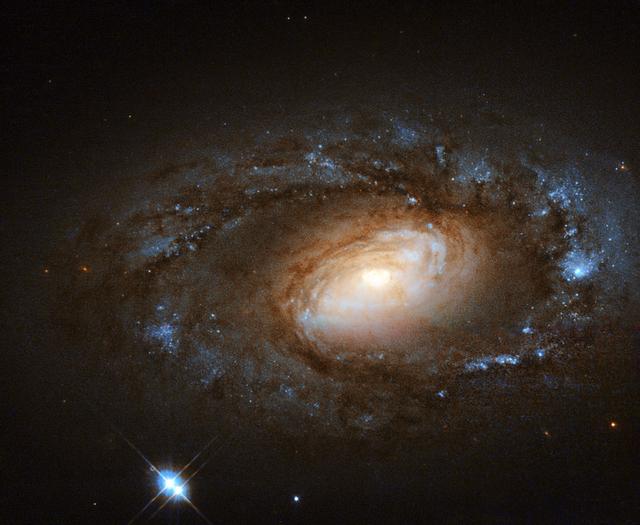 The NASA/ESA Hubble Space Telescope observes some of the most beautiful galaxies in our skies — spirals sparkling with bright stellar nurseries, violent duos ripping gas and stars away from one another as they tangle together, and ethereal irregular galaxies that hang like flocks of birds suspended in the blackness of space. However, galaxies, like humans, are not all supermodels. This little spiral, known as NGC 4102, has a different kind of appeal, with its tightly-wound spiral arms and understated, but charming, appearance. NGC 4102 lies in the northern constellation of Ursa Major (The Great Bear). It contains what is known as a LINER, or low-ionization nuclear emission-line region, meaning that its nucleus emits particular types of radiation — specifically, emission from weakly-ionized or neutral atoms of certain elements. Even in this sense, NGC 4102 is not special; around one third of all nearby galaxies are thought to be LINER galaxies. Many LINER galaxies also contain intense regions of star formation. This is thought to be intrinsically linked to their centers but just why, is still a mystery for astronomers — either the starbursts pour fuel inwards to fuel the LINERs, or this active central region triggers the starbursts. NGC 4102 does indeed contain a starburst region towards its center, where stars are being created at a rate much more furious than in a normal galaxy. This star formation is taking place within a small rotating disk, around 1000 light-years in diameter and with a mass some three billion times the mass of the sun. This image uses infrared and visible observations taken using Hubble’s Wide Field Planetary Camera 2. Credit: ESA/Hubble, NASA and S. Smartt (Queen's University Belfast) Acknowledgement: Renaud Houdinet <b><a href="http://www.nasa.gov/audience/formedia/features/MP_Photo_Guidelines.html" rel="nofollow">NASA image use policy.</a></b> <b><a href="http://www.nasa.gov/centers/goddard/home/index.html" rel="nofollow">NASA Goddard Space Flight Center</a></b> enables NASA’s mission through four scientific endeavors: Earth Science, Heliophysics, Solar System Exploration, and Astrophysics. Goddard plays a leading role in NASA’s accomplishments by contributing compelling scientific knowledge to advance the Agency’s mission. <b>Follow us on <a href="http://twitter.com/NASAGoddardPix" rel="nofollow">Twitter</a></b> <b>Like us on <a href="http://www.facebook.com/pages/Greenbelt-MD/NASA-Goddard/395013845897?ref=tsd" rel="nofollow">Facebook</a></b> <b>Find us on <a href="http://instagram.com/nasagoddard?vm=grid" rel="nofollow">Instagram</a></b>