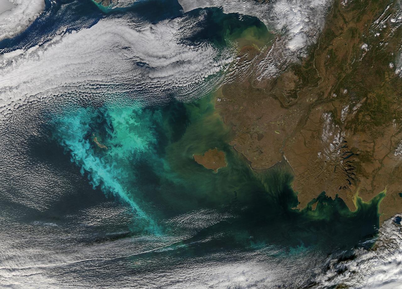 Large blooms of phytoplankton (likely coccolithophores) surrounded the 51-kilometer-long St. Matthew Island in the Bering Sea on October 8, 2014 when the above Aqua-MODIS image was collected. The swirls and eddies of color give some indication of the turbulent nature of these waters. The reflective blooms have been visible from orbit for a few months now. Credit: NASA/Goddard/Aqua/MODIS <b><a href="http://www.nasa.gov/audience/formedia/features/MP_Photo_Guidelines.html" rel="nofollow">NASA image use policy.</a></b> <b><a href="http://www.nasa.gov/centers/goddard/home/index.html" rel="nofollow">NASA Goddard Space Flight Center</a></b> enables NASA’s mission through four scientific endeavors: Earth Science, Heliophysics, Solar System Exploration, and Astrophysics. Goddard plays a leading role in NASA’s accomplishments by contributing compelling scientific knowledge to advance the Agency’s mission. <b>Follow us on <a href="http://twitter.com/NASAGoddardPix" rel="nofollow">Twitter</a></b> <b>Like us on <a href="http://www.facebook.com/pages/Greenbelt-MD/NASA-Goddard/395013845897?ref=tsd" rel="nofollow">Facebook</a></b> <b>Find us on <a href="http://instagram.com/nasagoddard?vm=grid" rel="nofollow">Instagram</a></b>