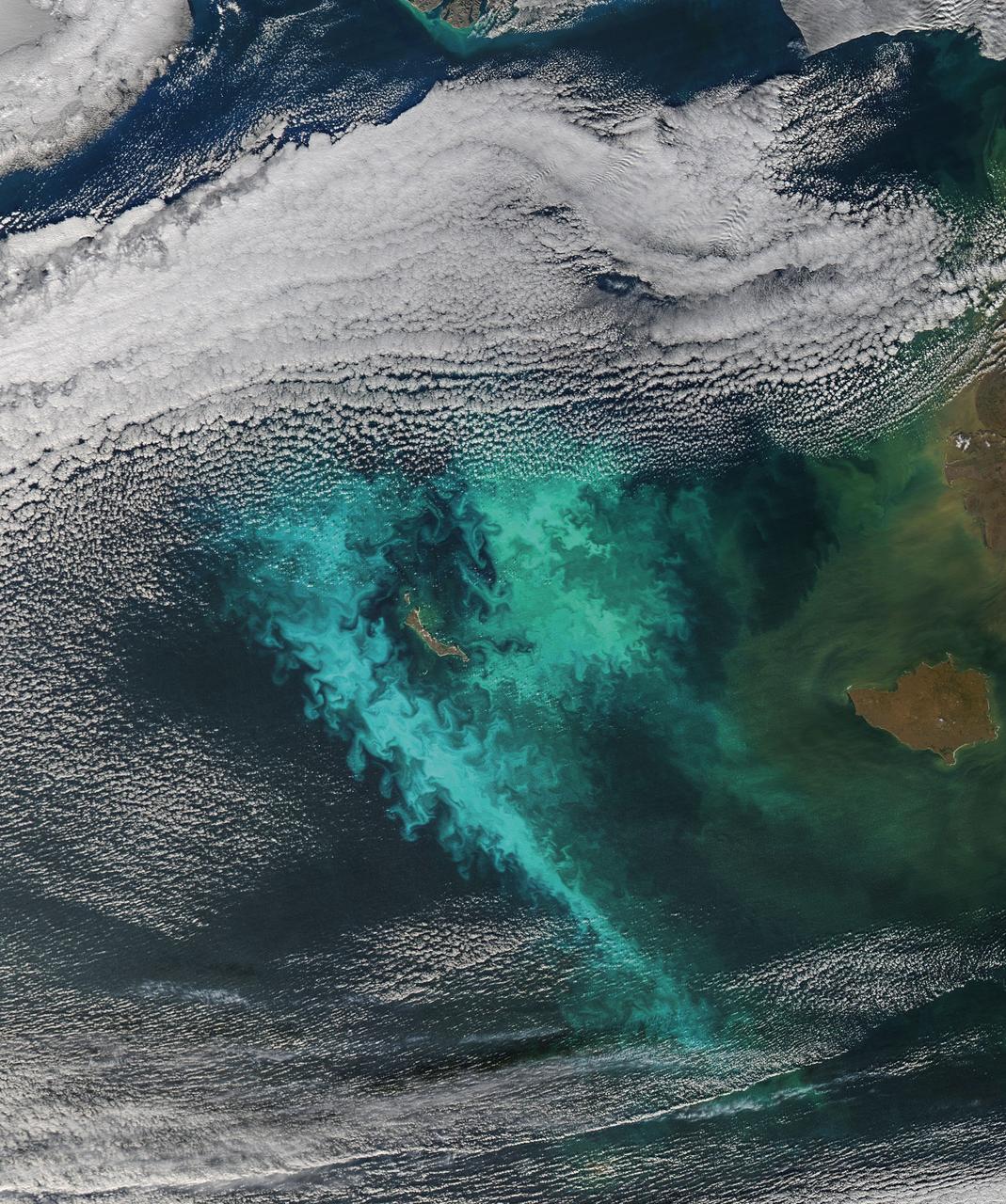 Large blooms of phytoplankton (likely coccolithophores) surrounded the 51-kilometer-long St. Matthew Island in the Bering Sea on October 8, 2014 when the above Aqua-MODIS image was collected. The swirls and eddies of color give some indication of the turbulent nature of these waters. The reflective blooms have been visible from orbit for a few months now. Credit: NASA/Goddard/Aqua/MODIS <b><a href="http://www.nasa.gov/audience/formedia/features/MP_Photo_Guidelines.html" rel="nofollow">NASA image use policy.</a></b> <b><a href="http://www.nasa.gov/centers/goddard/home/index.html" rel="nofollow">NASA Goddard Space Flight Center</a></b> enables NASA’s mission through four scientific endeavors: Earth Science, Heliophysics, Solar System Exploration, and Astrophysics. Goddard plays a leading role in NASA’s accomplishments by contributing compelling scientific knowledge to advance the Agency’s mission. <b>Follow us on <a href="http://twitter.com/NASAGoddardPix" rel="nofollow">Twitter</a></b> <b>Like us on <a href="http://www.facebook.com/pages/Greenbelt-MD/NASA-Goddard/395013845897?ref=tsd" rel="nofollow">Facebook</a></b> <b>Find us on <a href="http://instagram.com/nasagoddard?vm=grid" rel="nofollow">Instagram</a></b>