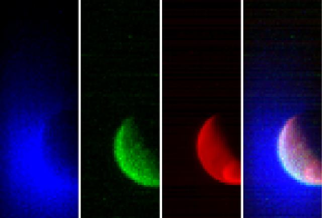 NASA’s Mars Atmosphere and Volatile Evolution (MAVEN) spacecraft has obtained its first observations of the extended upper atmosphere surrounding Mars. The Imaging Ultraviolet Spectrograph (IUVS) instrument obtained these false-color images eight hours after the successful completion of Mars orbit insertion by the spacecraft at 10:24 p.m. EDT Sunday, Sept. 21, after a 10-month journey. The image shows the planet from an altitude of 36,500 km in three ultraviolet wavelength bands. Blue shows the ultraviolet light from the sun scattered from atomic hydrogen gas in an extended cloud that goes to thousands of kilometers above the planet’s surface. Green shows a different wavelength of ultraviolet light that is primarily sunlight reflected off of atomic oxygen, showing the smaller oxygen cloud. Red shows ultraviolet sunlight reflected from the planet’s surface; the bright spot in the lower right is light reflected either from polar ice or clouds. The oxygen gas is held close to the planet by Mars’ gravity, while lighter hydrogen gas is present to higher altitudes and extends past the edges of the image. These gases derive from the breakdown of water and carbon dioxide in Mars’ atmosphere. Over the course of its one-Earth-year primary science mission, MAVEN observations like these will be used to determine the loss rate of hydrogen and oxygen from the Martian atmosphere. These observations will allow us to determine the amount of water that has escaped from the planet over time. MAVEN is the first spacecraft dedicated to exploring the tenuous upper atmosphere of Mars. Read more: <a href="http://1.usa.gov/1oj2Av3" rel="nofollow">1.usa.gov/1oj2Av3</a>