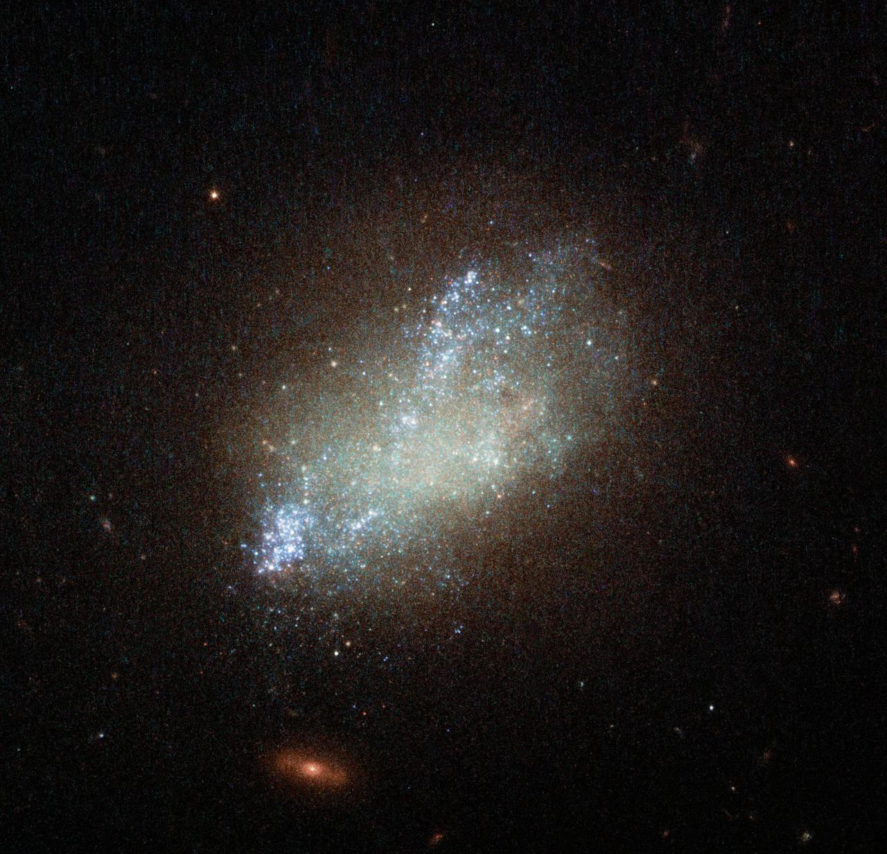Far beyond the stars in the constellation of Leo (The Lion) is irregular galaxy IC 559. IC 559 is not your everyday galaxy. With its irregular shape and bright blue spattering of stars, it is a fascinating galactic anomaly. It may look like sparse cloud, but it is in fact full of gas and dust which is spawning new stars. Discovered in 1893, IC 559 lacks the symmetrical spiral appearance of some of its galactic peers and not does not conform to a regular shape. It is actually classified as a “type Sm” galaxy — an irregular galaxy with some evidence for a spiral structure. Irregular galaxies make up about a quarter of all known galaxies and do not fall into any of the regular classes of the Hubble sequence. Most of these uniquely shaped galaxies were not always so — IC 559 may have once been a conventional spiral galaxy that was then distorted and twisted by the gravity of a nearby cosmic companion. This image, captured by the NASA/ESA Hubble Space Telescope’s Wide Field Camera 3, combines a wide range of wavelengths spanning the ultraviolet, optical, and infrared parts of the spectrum. Image credit: ESA/Hubble, NASA, D. Calzetti (UMass) and the LEGUS Team <b><a href="http://www.nasa.gov/audience/formedia/features/MP_Photo_Guidelines.html" rel="nofollow">NASA image use policy.</a></b> <b><a href="http://www.nasa.gov/centers/goddard/home/index.html" rel="nofollow">NASA Goddard Space Flight Center</a></b> enables NASA’s mission through four scientific endeavors: Earth Science, Heliophysics, Solar System Exploration, and Astrophysics. Goddard plays a leading role in NASA’s accomplishments by contributing compelling scientific knowledge to advance the Agency’s mission. <b>Follow us on <a href="http://twitter.com/NASAGoddardPix" rel="nofollow">Twitter</a></b> <b>Like us on <a href="http://www.facebook.com/pages/Greenbelt-MD/NASA-Goddard/395013845897?ref=tsd" rel="nofollow">Facebook</a></b> <b>Find us on <a href="http://instagram.com/nasagoddard?vm=grid" rel="nofollow">Instagram</a></b>