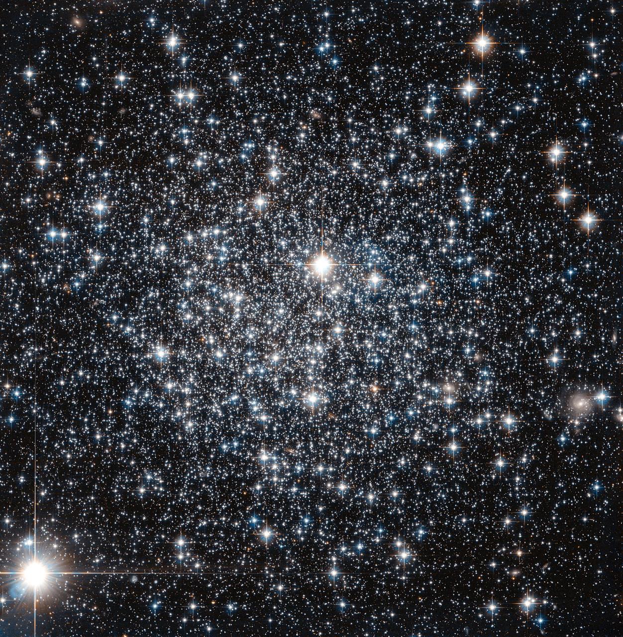 This new NASA/ESA Hubble Space Telescope image shows the globular cluster IC 4499. Globular clusters are big balls of old stars that orbit around their host galaxy. It has long been believed that all the stars within a globular cluster form at the about same time, a property which can be used to determine the cluster's age. For more massive globulars however, detailed observations have shown that this is not entirely true — there is evidence that they instead consist of multiple populations of stars born at different times. One of the driving forces behind this behavior is thought to be gravity: more massive globulars manage to grab more gas and dust, which can then be transformed into new stars. IC 4499 is a somewhat special case. Its mass lies somewhere between low-mass globulars, which show a single generation build-up, and the more complex and massive globulars which can contain more than one generation of stars. By studying objects like IC 4499 astronomers can therefore explore how mass affects a cluster's contents. Astronomers found no sign of multiple generations of stars in IC 4499 — supporting the idea that less massive clusters in general only consist of a single stellar generation. Hubble observations of IC 4499 have also helped to pinpoint the cluster's age: observations of this cluster from the 1990s suggested a puzzlingly young age when compared to other globular clusters within the Milky Way. However, since those first estimates new Hubble data have been obtained and it has been found to be much more likely that IC 4499 is actually roughly the same age as other Milky Way clusters at approximately 12 billion years old. Credit: ESA and NASA <b><a href="http://www.nasa.gov/audience/formedia/features/MP_Photo_Guidelines.html" rel="nofollow">NASA image use policy.</a></b> <b><a href="http://www.nasa.gov/centers/goddard/home/index.html" rel="nofollow">NASA Goddard Space Flight Center</a></b> enables NASA’s mission through four scientific endeavors: Earth Science, Heliophysics, Solar System Exploration, and Astrophysics. Goddard plays a leading role in NASA’s accomplishments by contributing compelling scientific knowledge to advance the Agency’s mission. <b>Follow us on <a href="http://twitter.com/NASAGoddardPix" rel="nofollow">Twitter</a></b> <b>Like us on <a href="http://www.facebook.com/pages/Greenbelt-MD/NASA-Goddard/395013845897?ref=tsd" rel="nofollow">Facebook</a></b> <b>Find us on <a href="http://instagram.com/nasagoddard?vm=grid" rel="nofollow">Instagram</a></b>